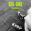 Big One album cover Big One album cover