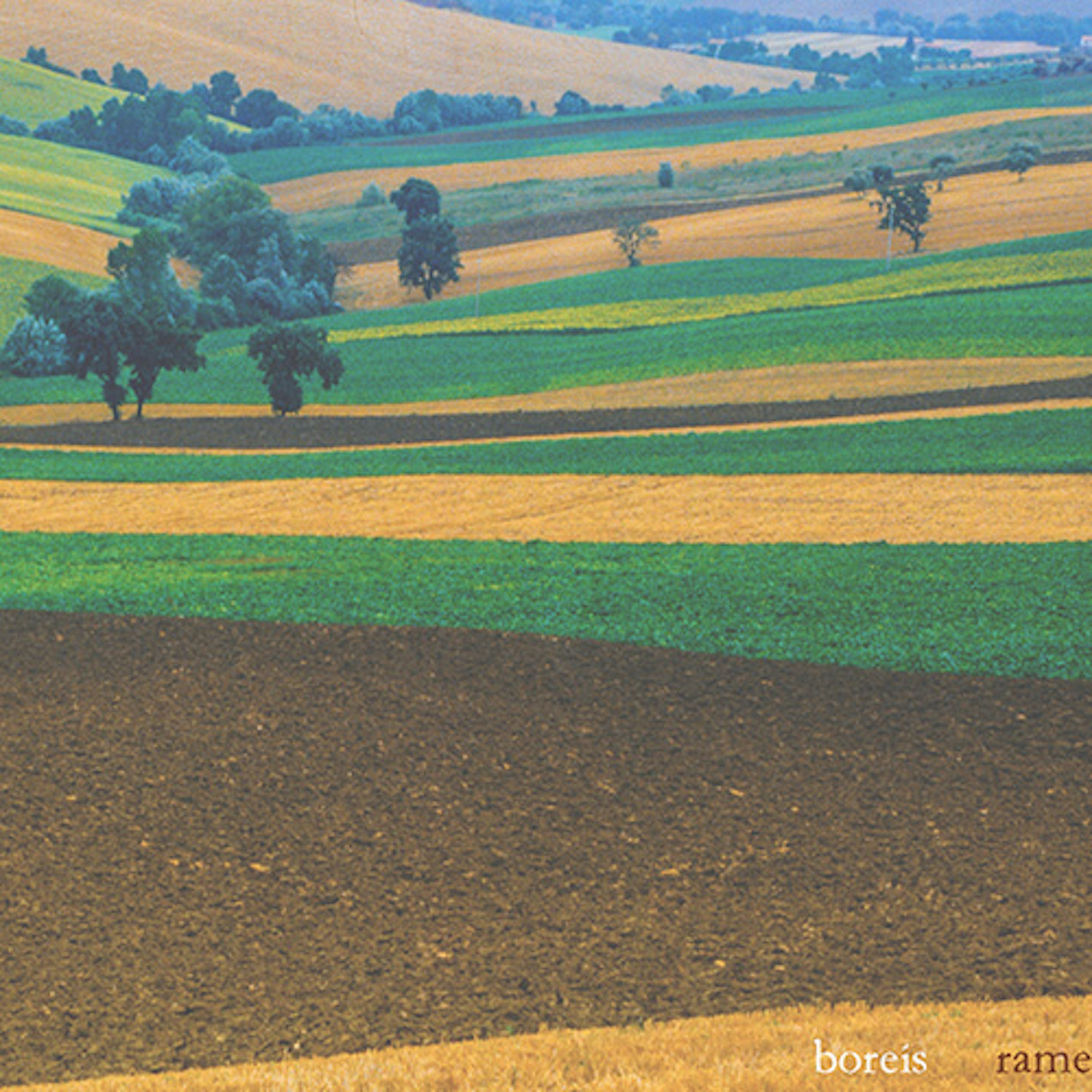 banner-highlight