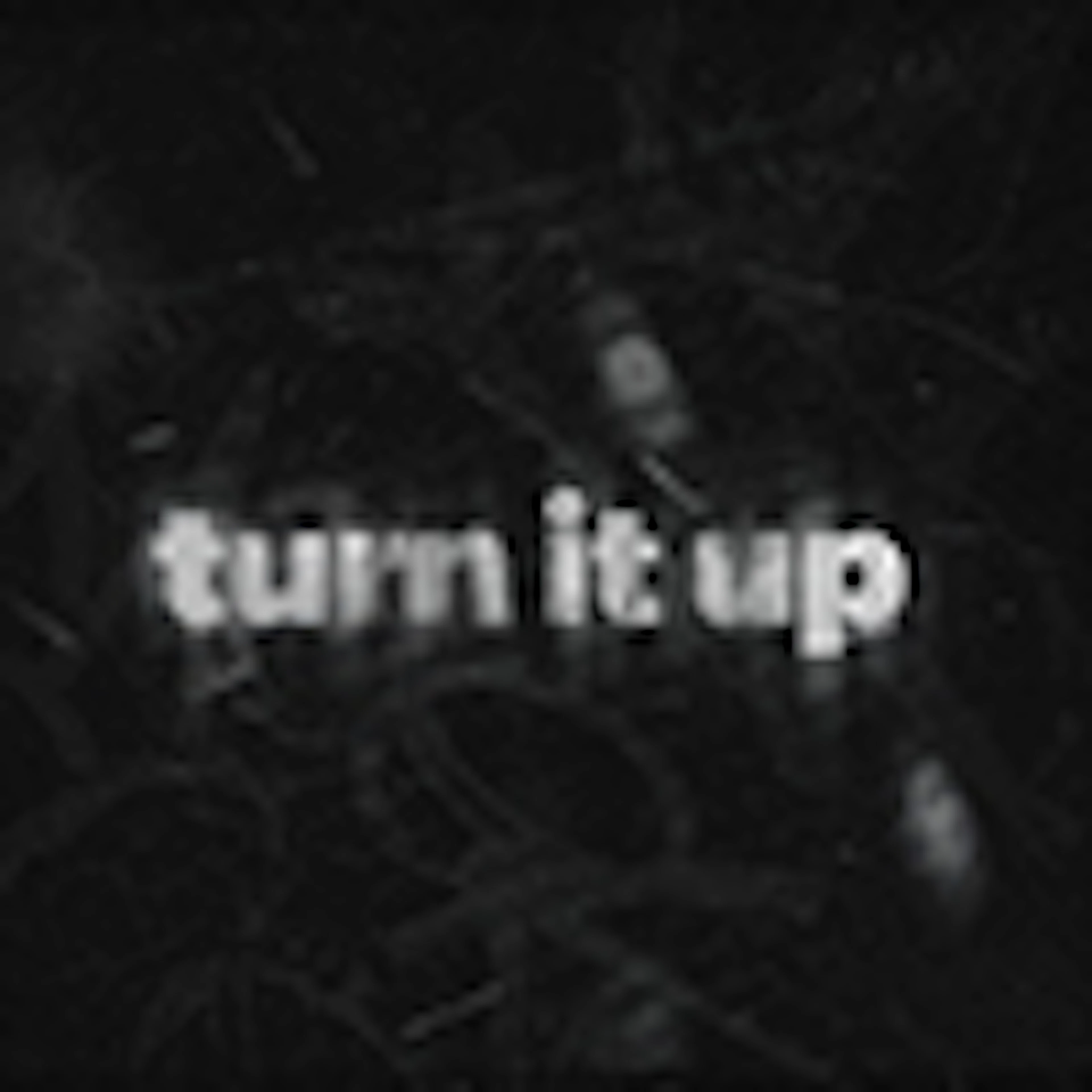 TURN IT UP album cover