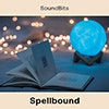 Spellbound album cover Spellbound album cover