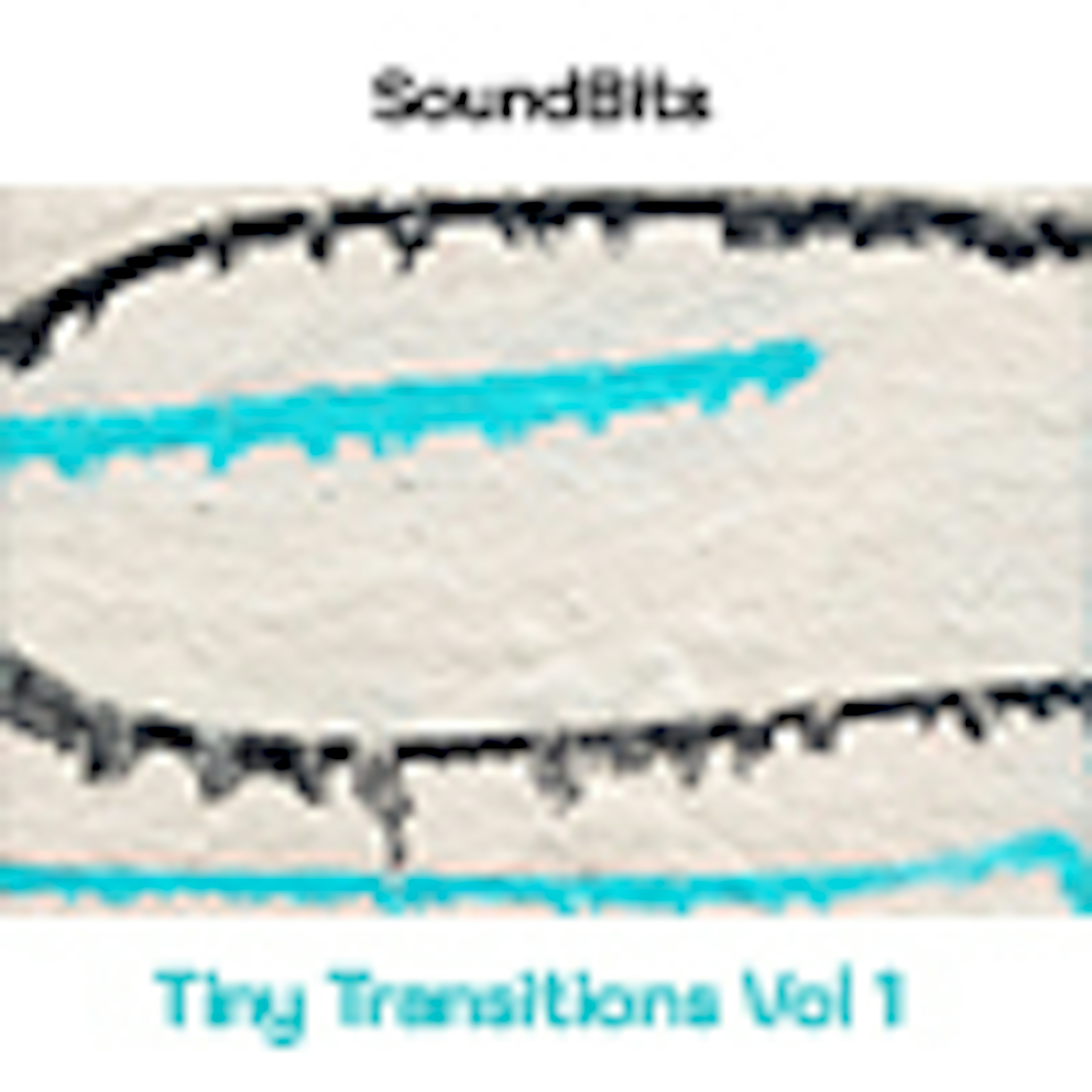 Tiny Transitions Vol 1 album cover