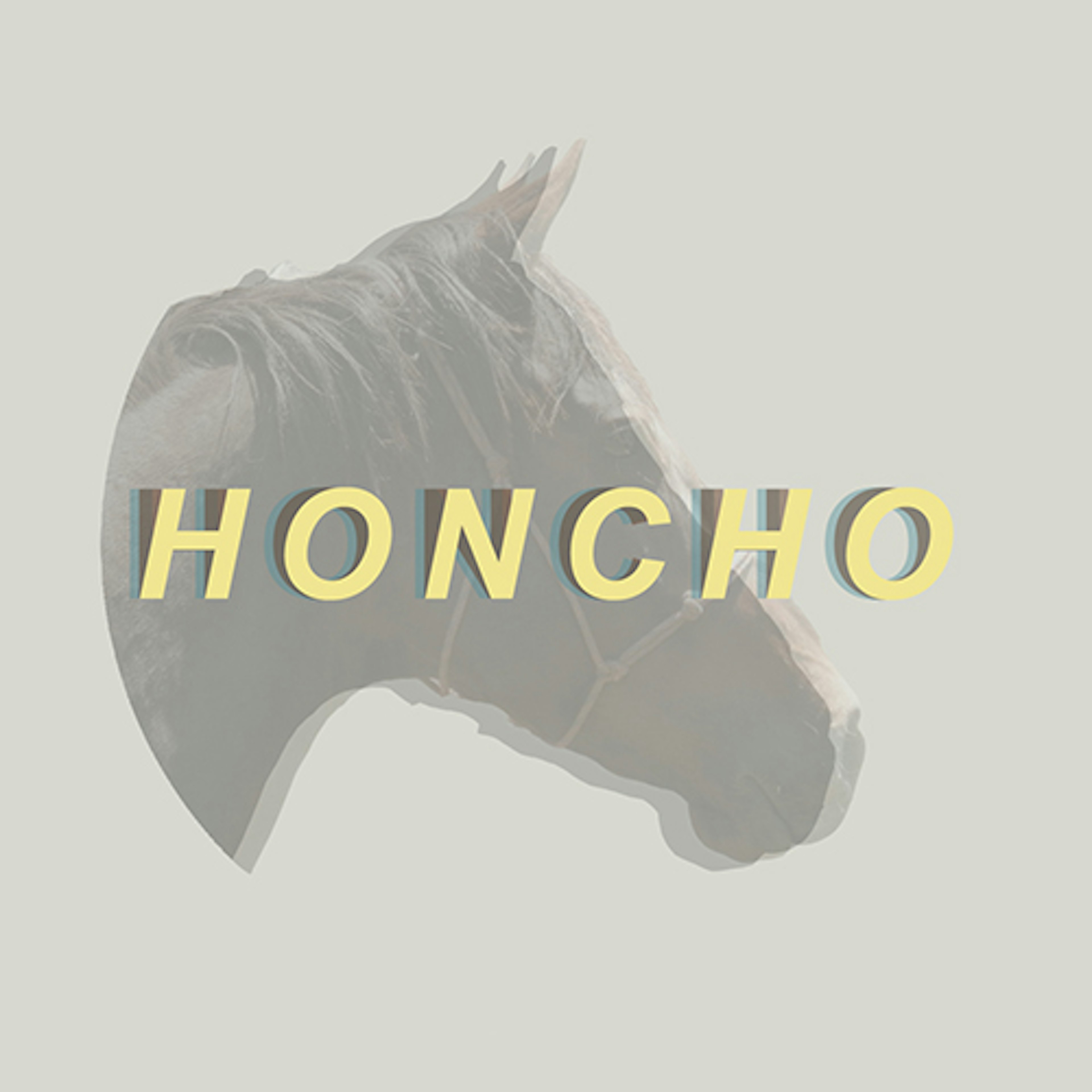 banner-highlight