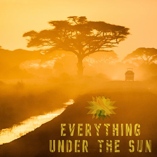 Everything Under the Sun