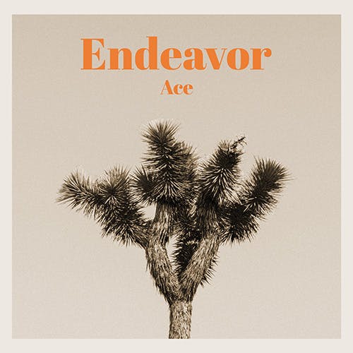 Endeavor