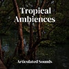 Tropical Ambiences album cover Tropical Ambiences album cover