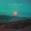 Full Bloom