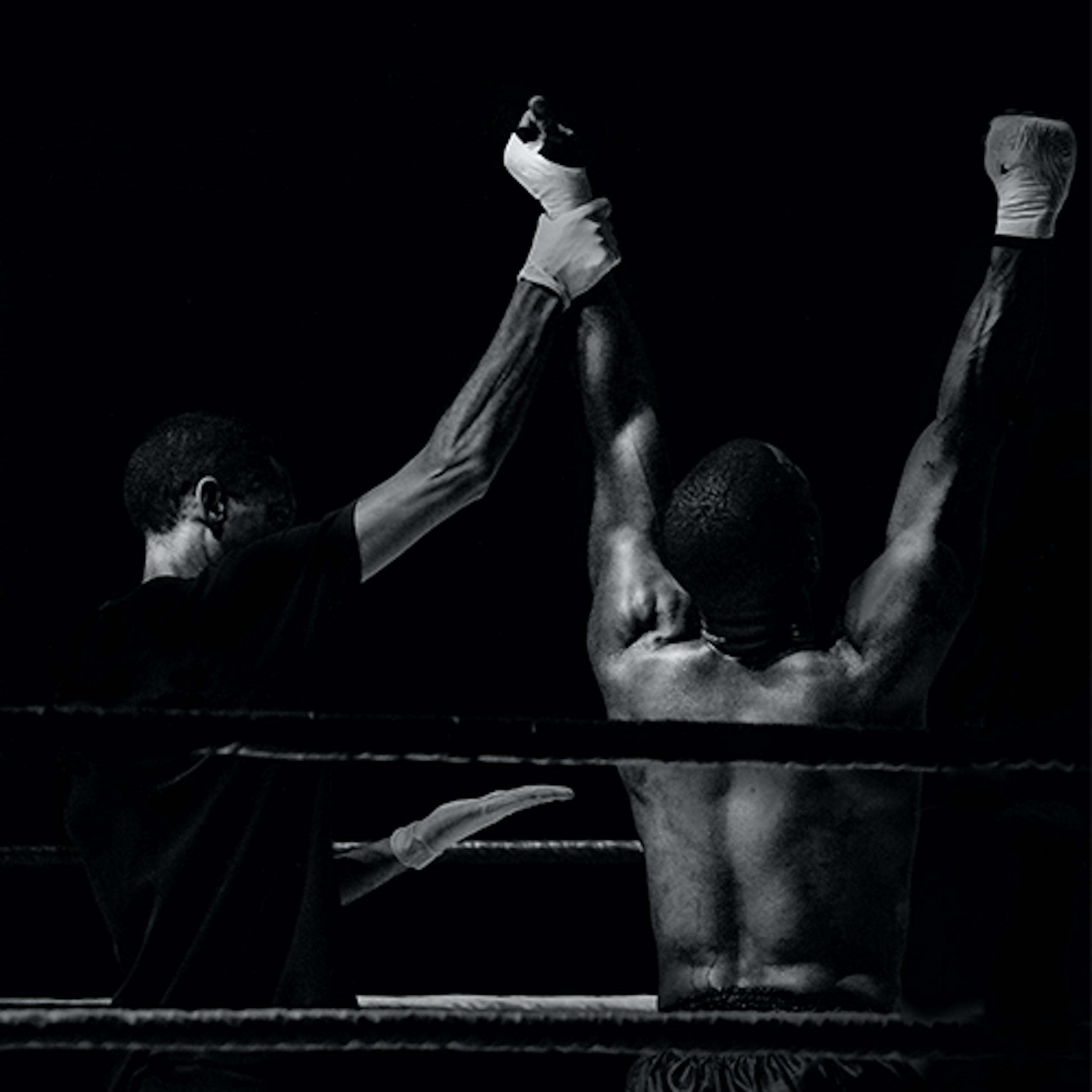 banner-highlight