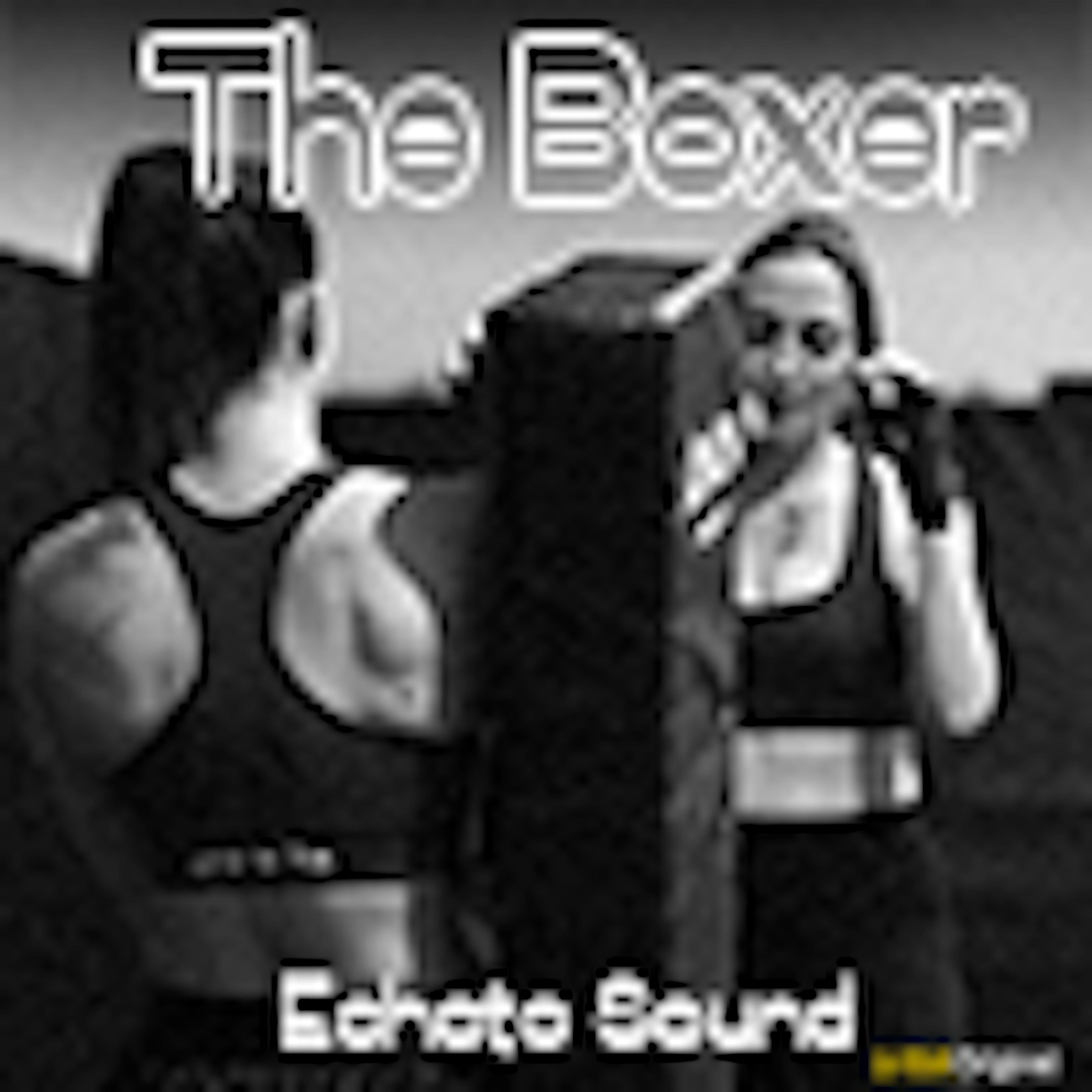 The Boxer album cover