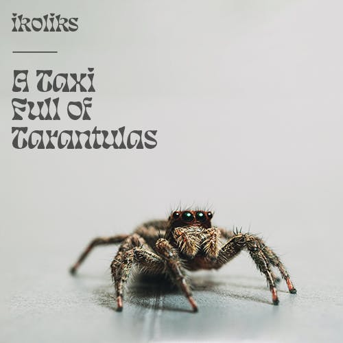 A Taxi Full of Tarantulas