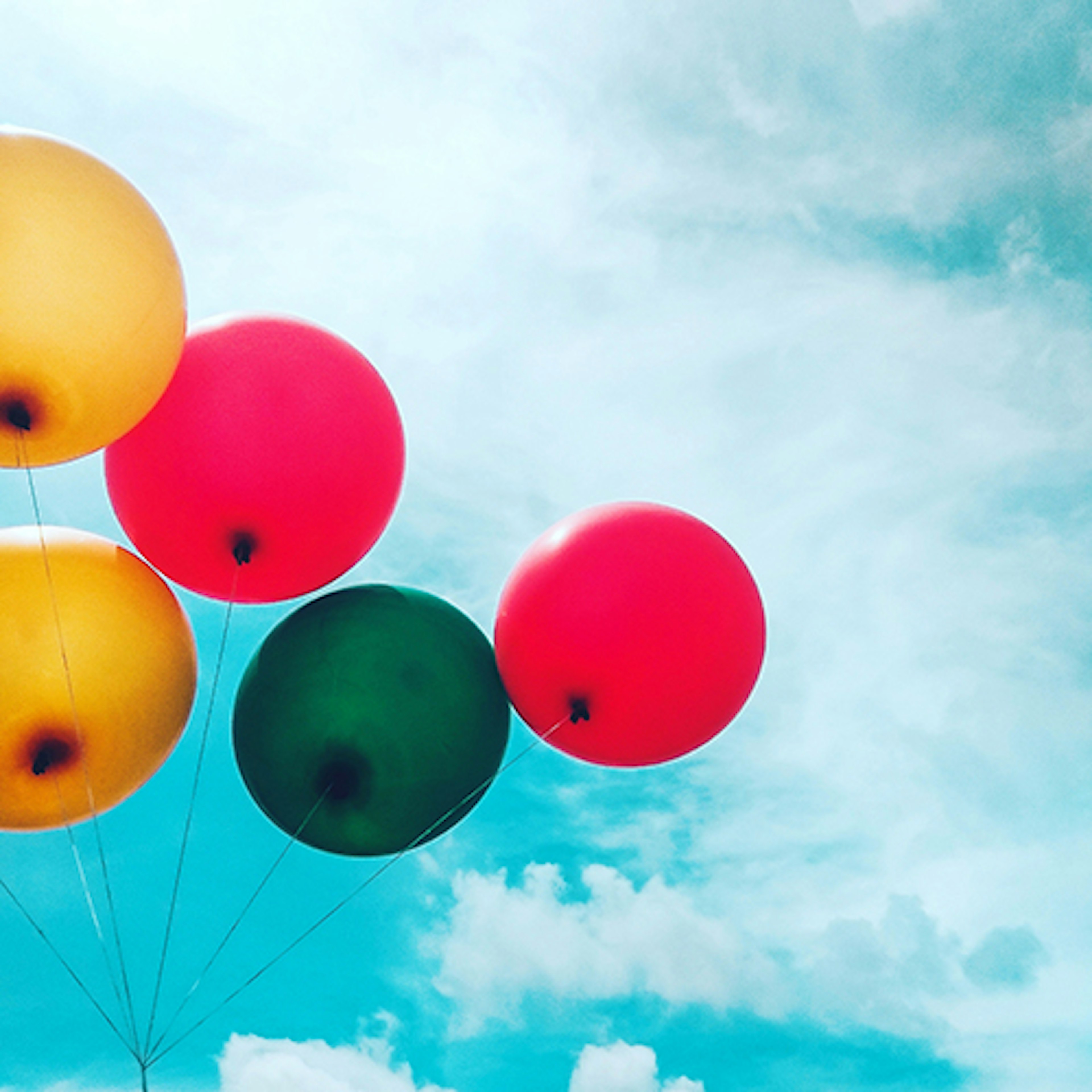 banner-highlight