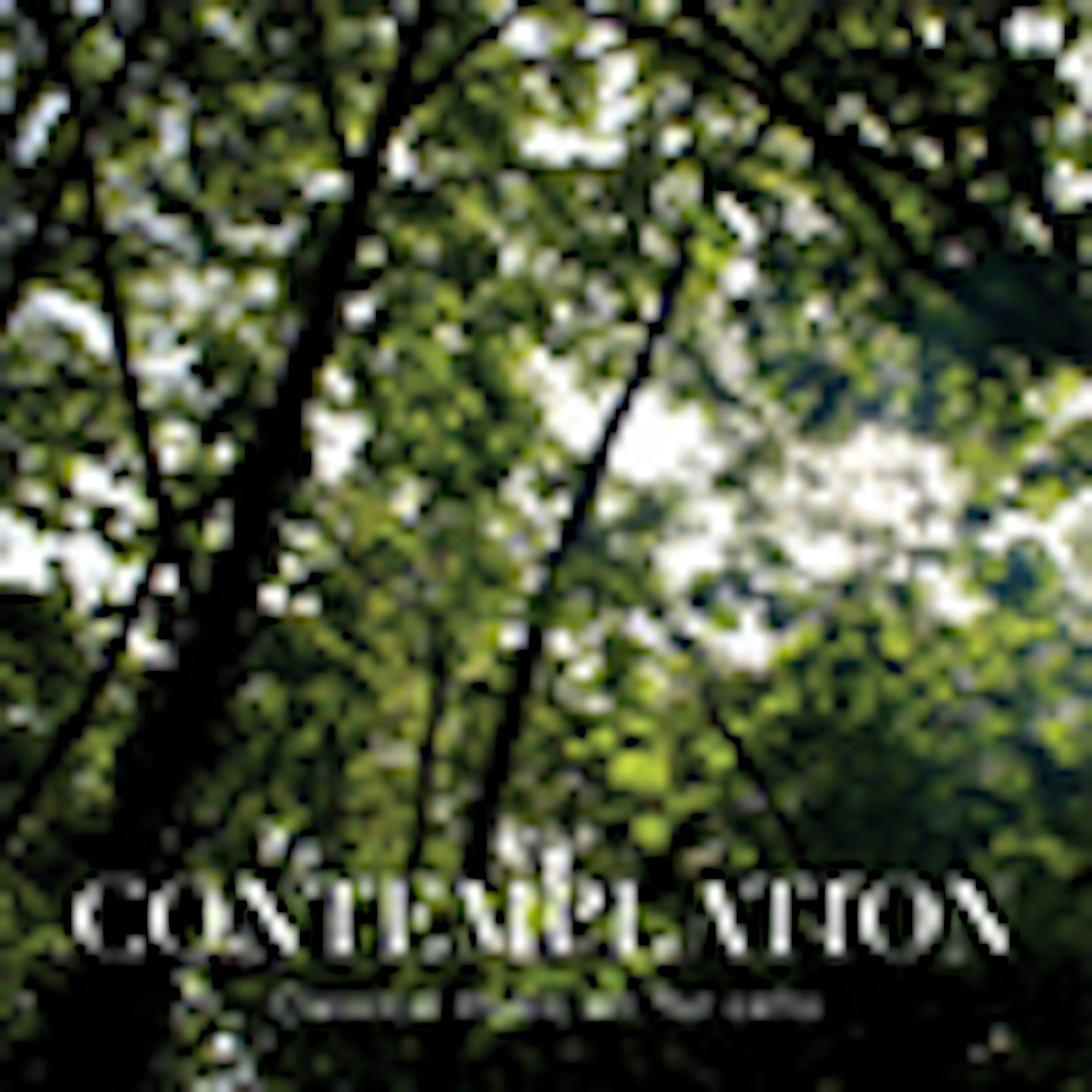 Contemplation album cover Contemplation album cover