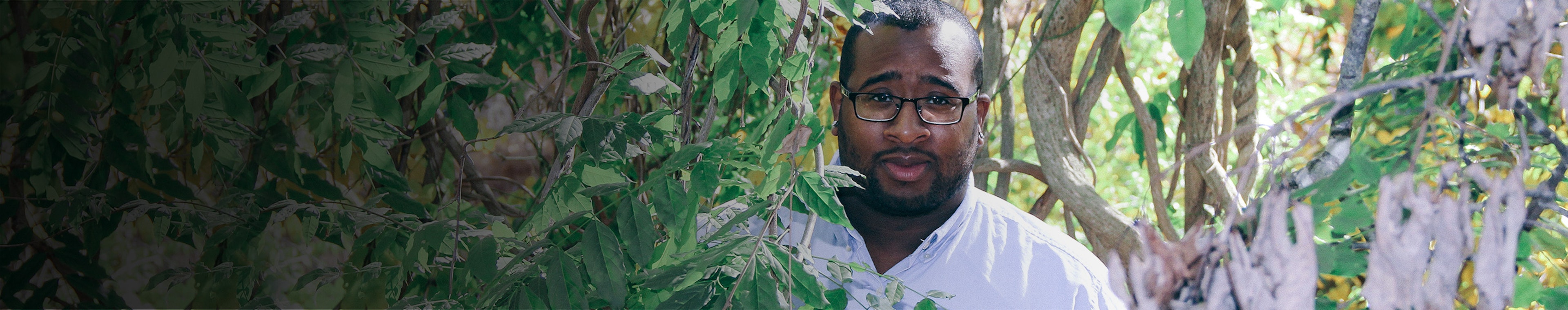 Solitude by Michael Drake