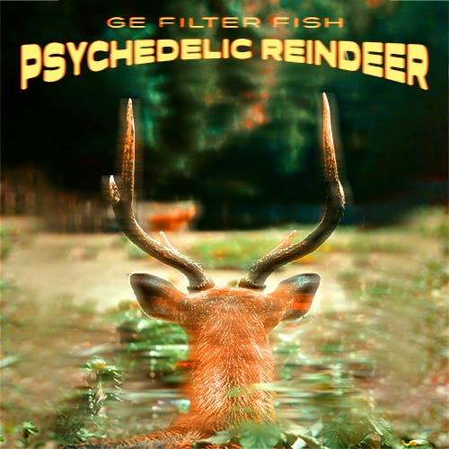 Psychedelic Reindeer