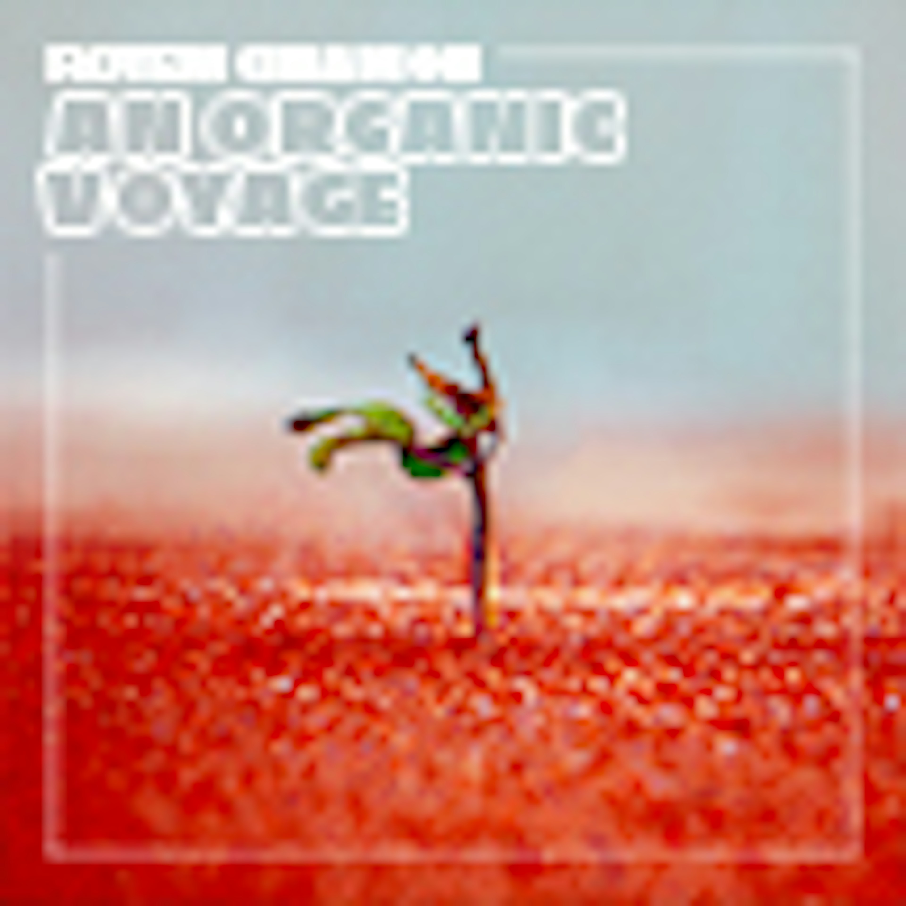 An Organic Voyage album cover