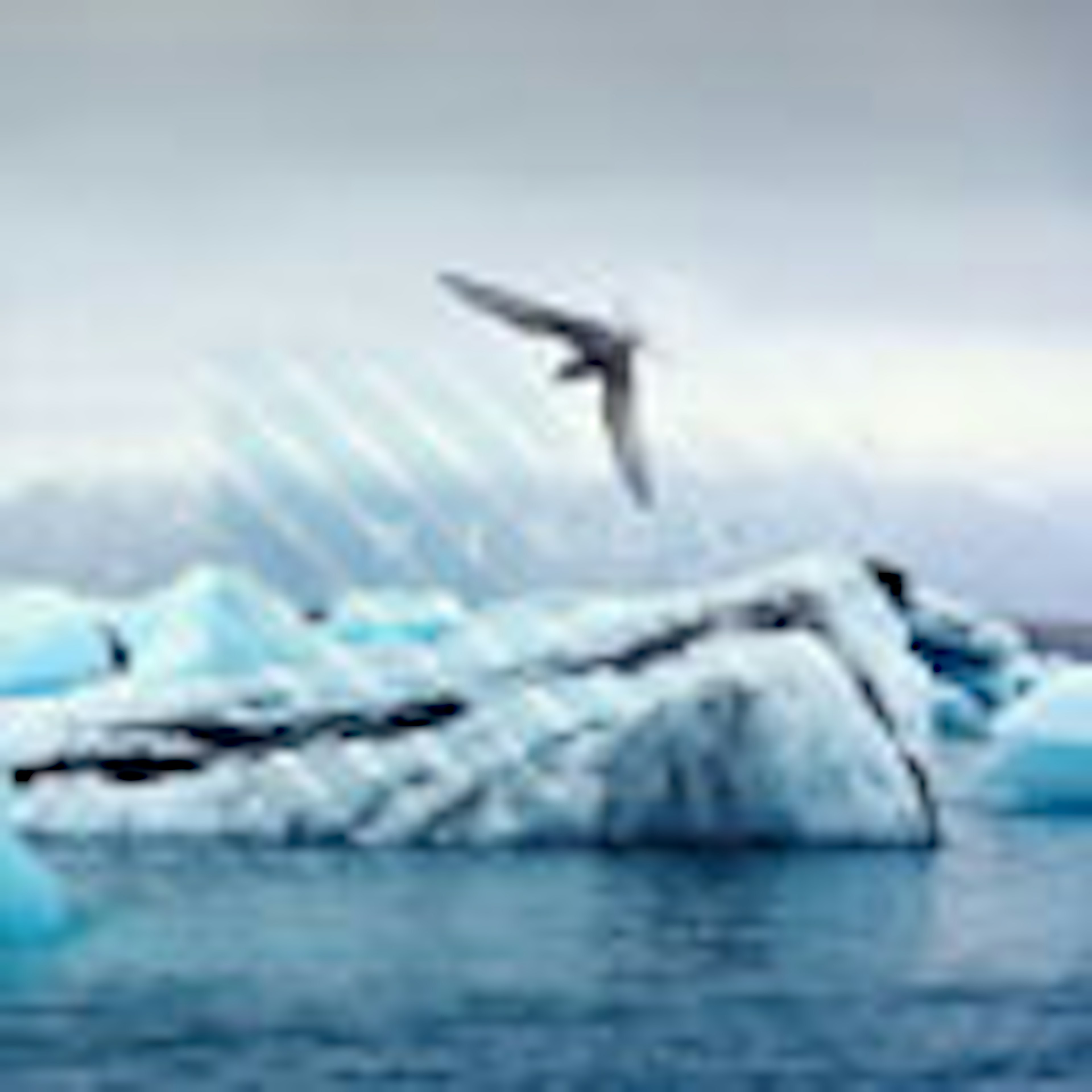 Wings album cover Wings album cover