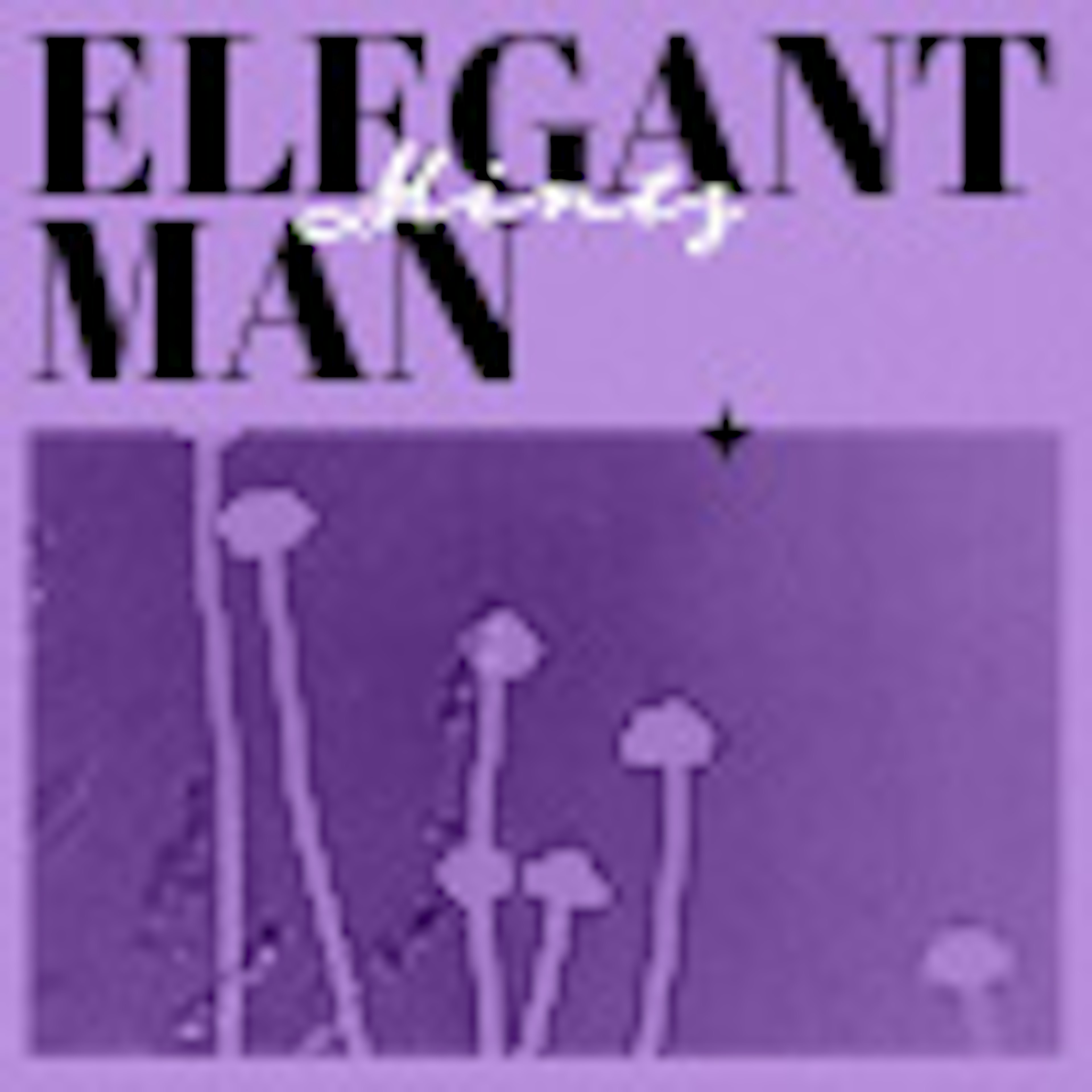 Elegant Man