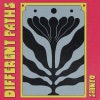 Different Paths album cover Different Paths album cover