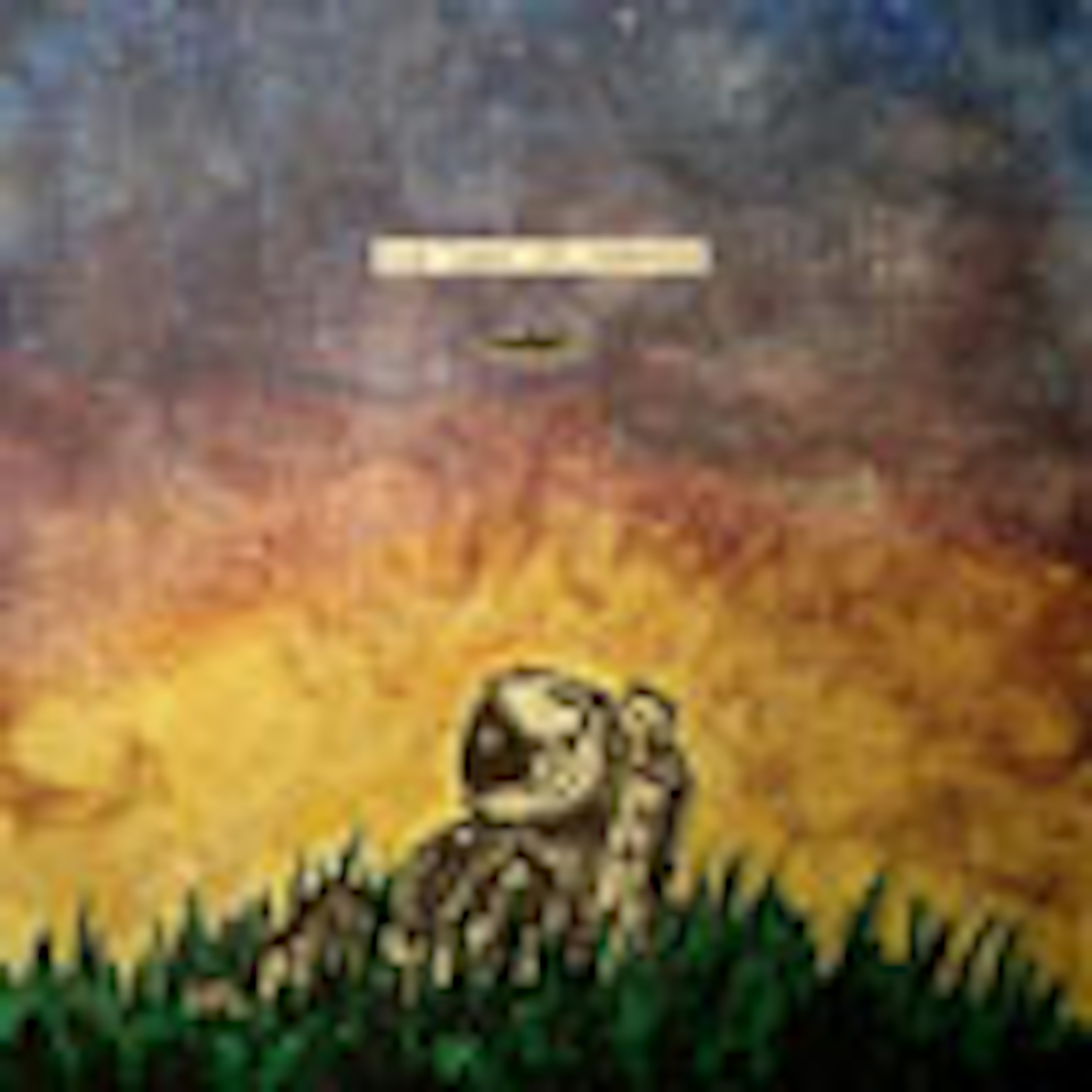 The Laws of Gravity album cover