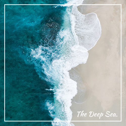 The Deep Sea