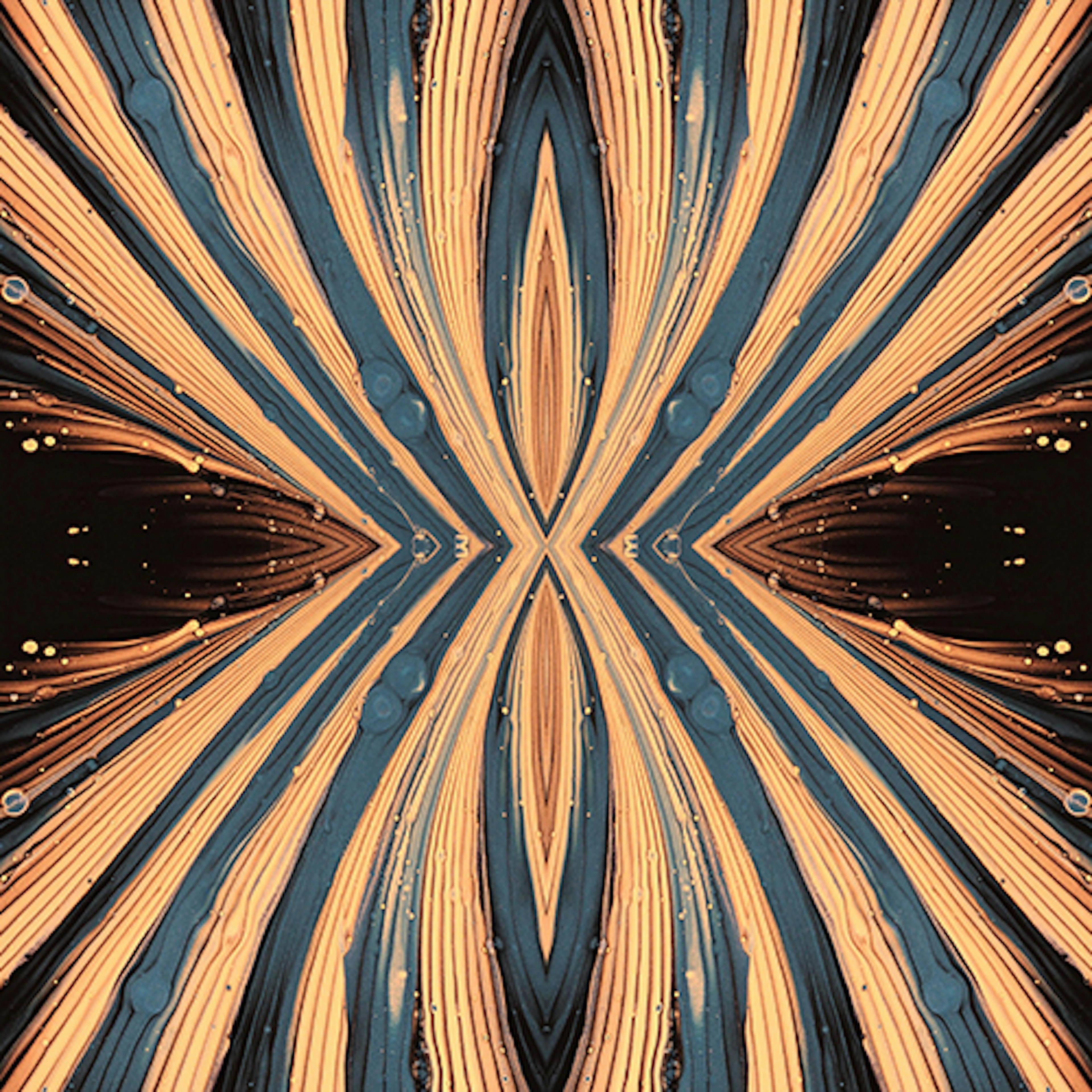 banner-highlight