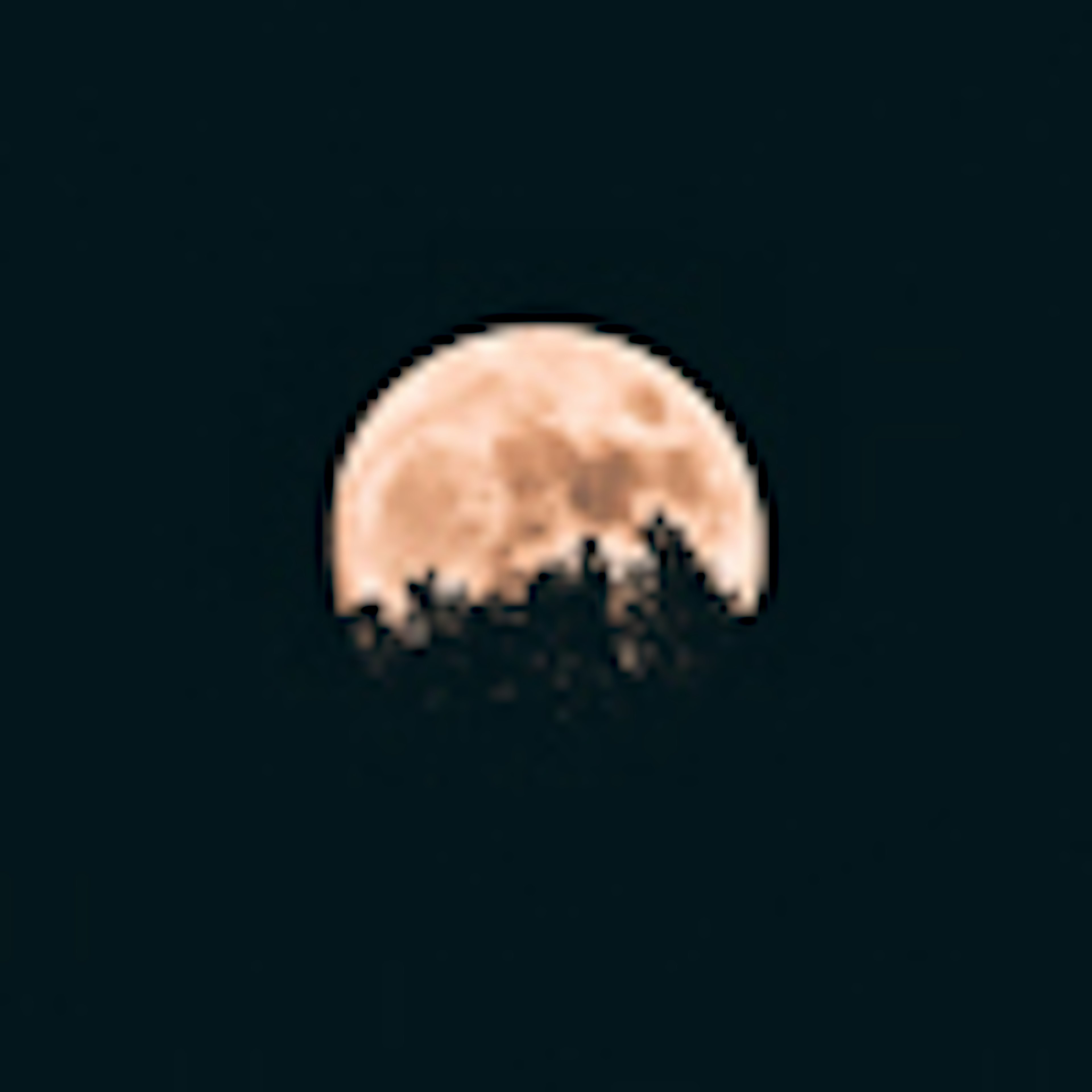 banner-highlight
