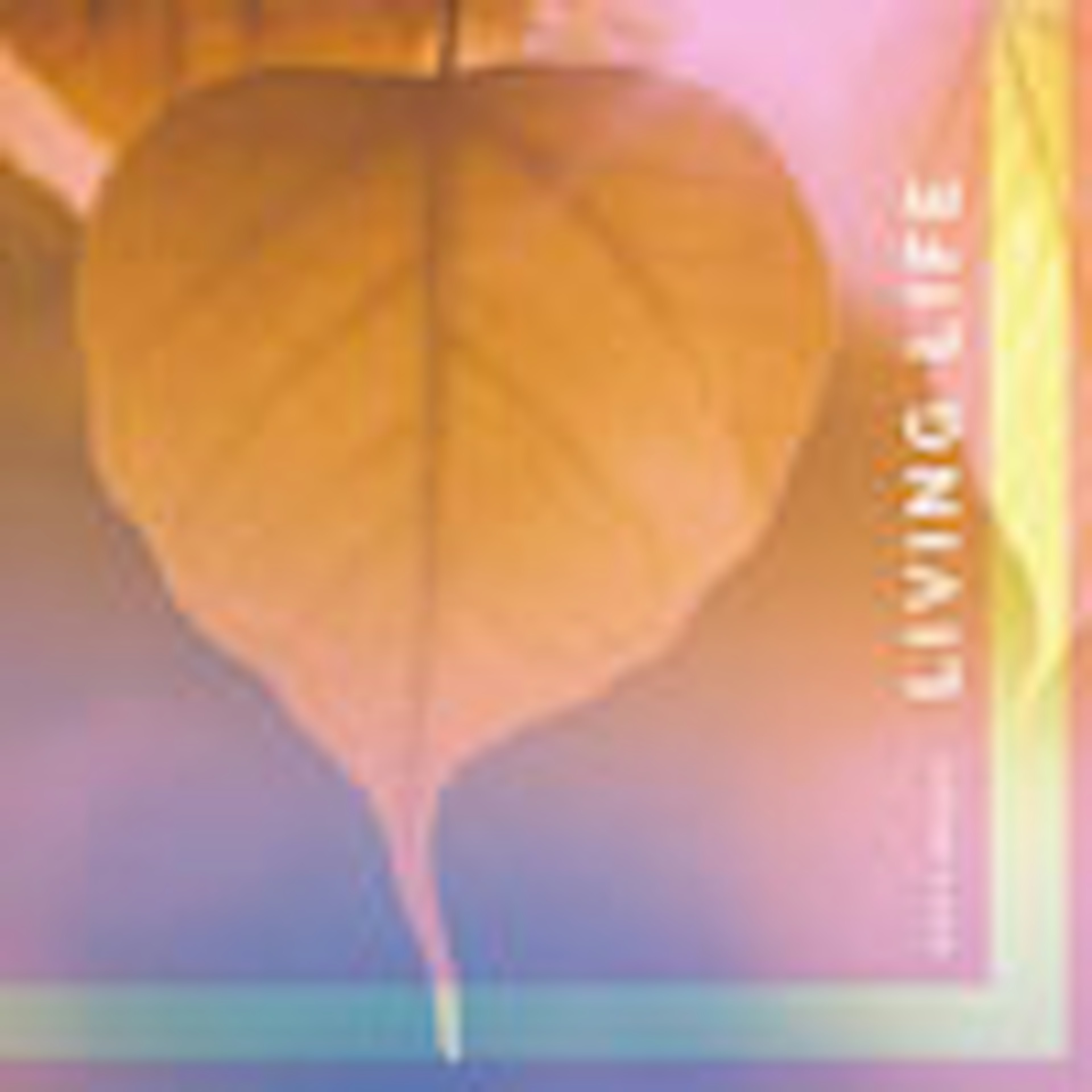 Living Life album cover Living Life album cover