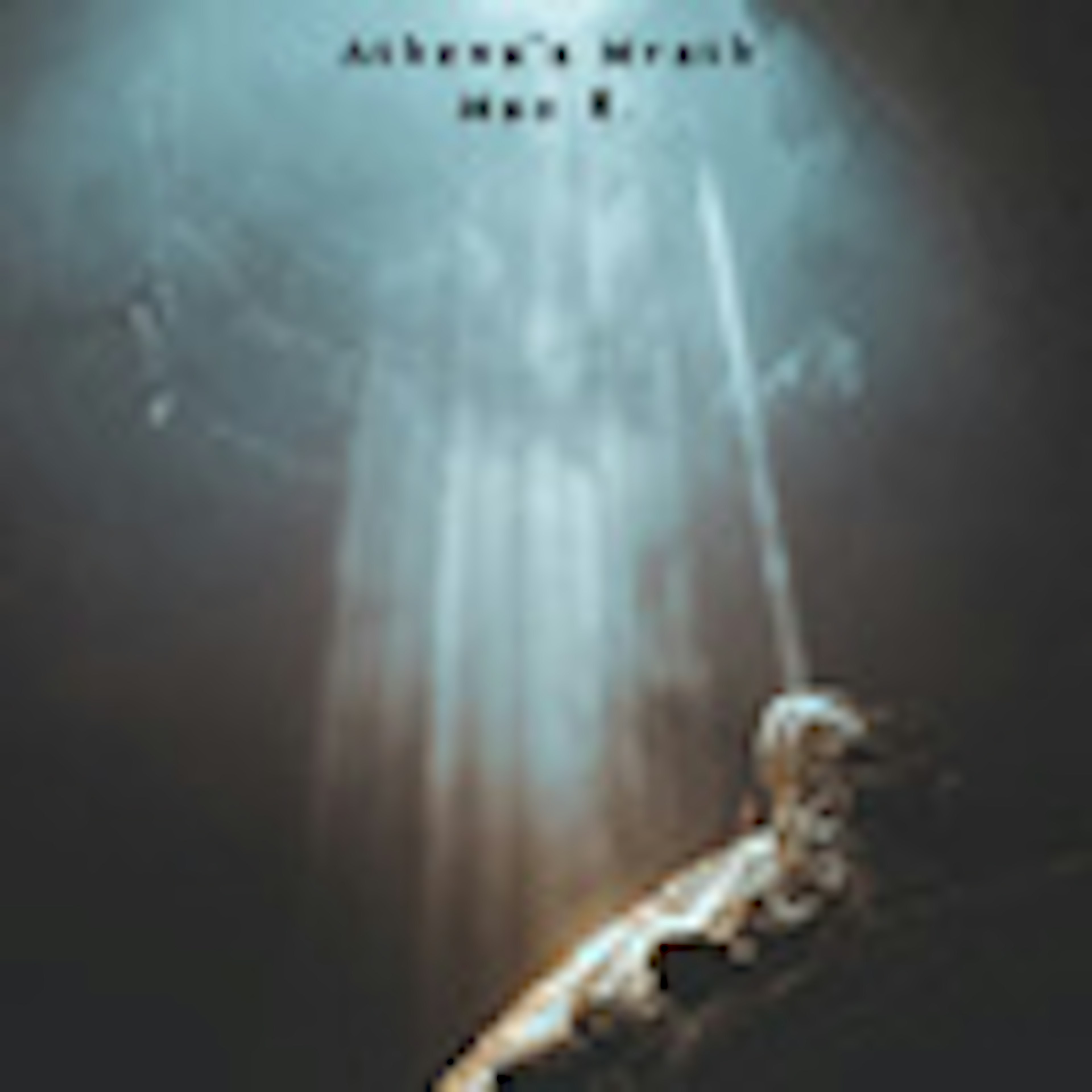banner-highlight