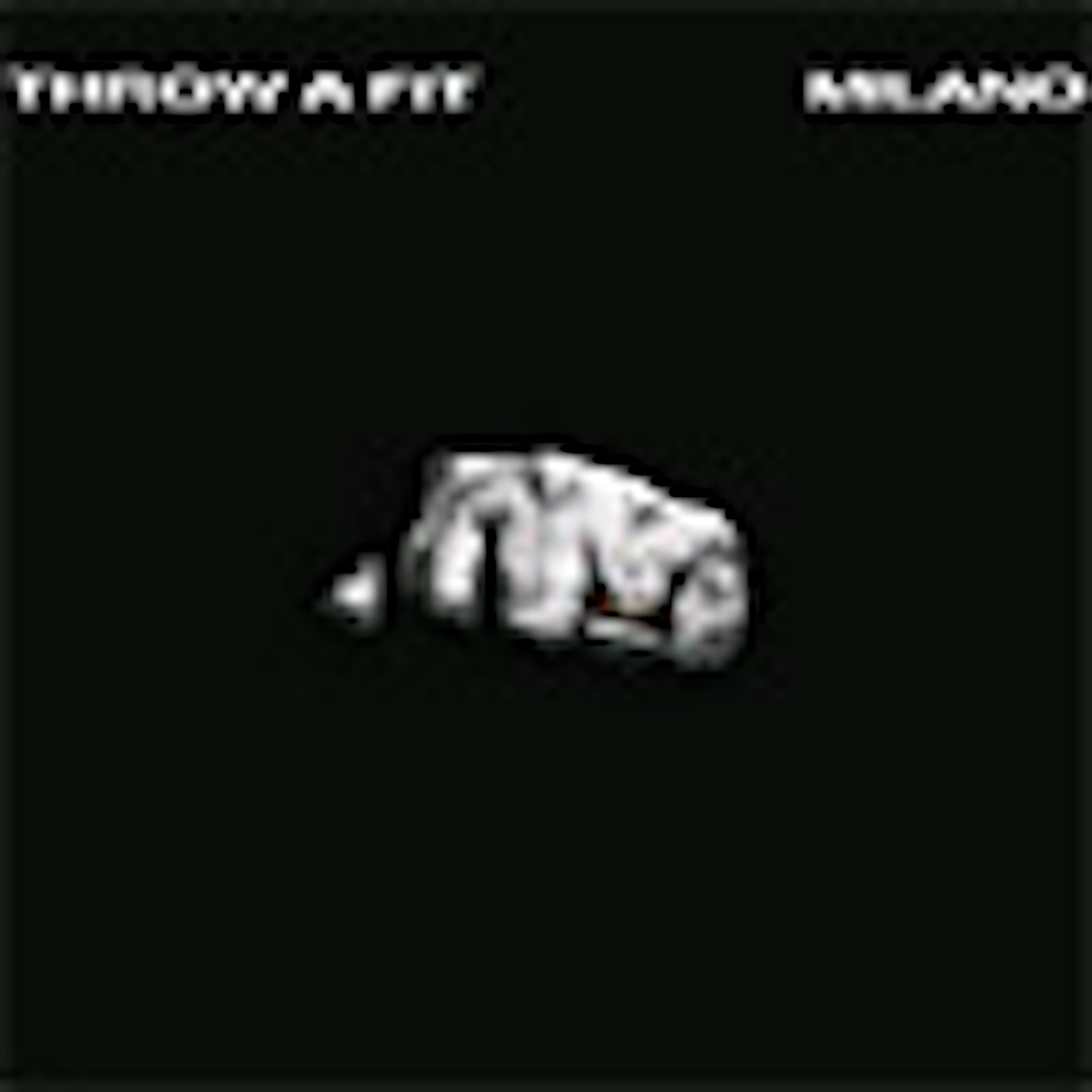 Throw a Fit album cover
