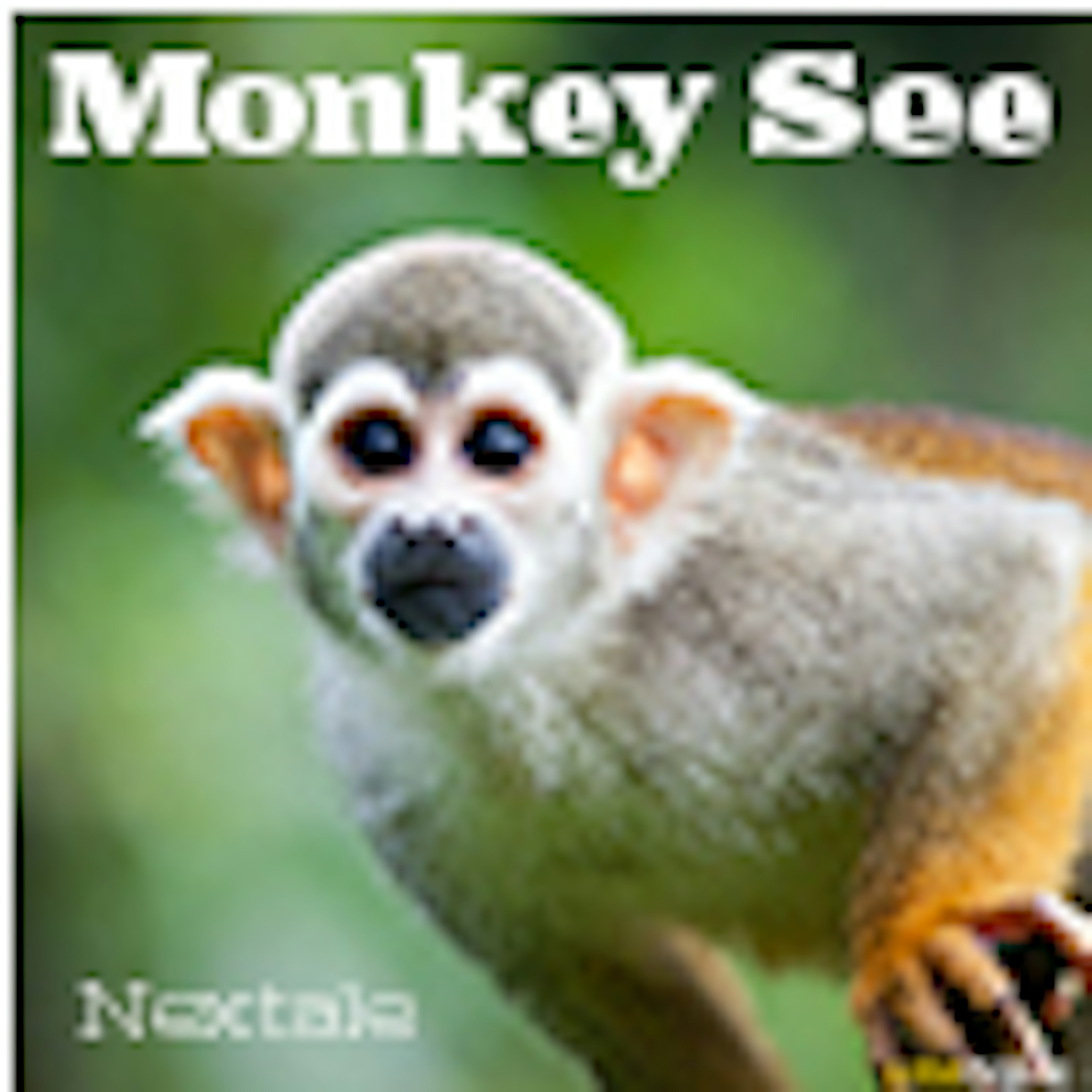 Monkey See album cover