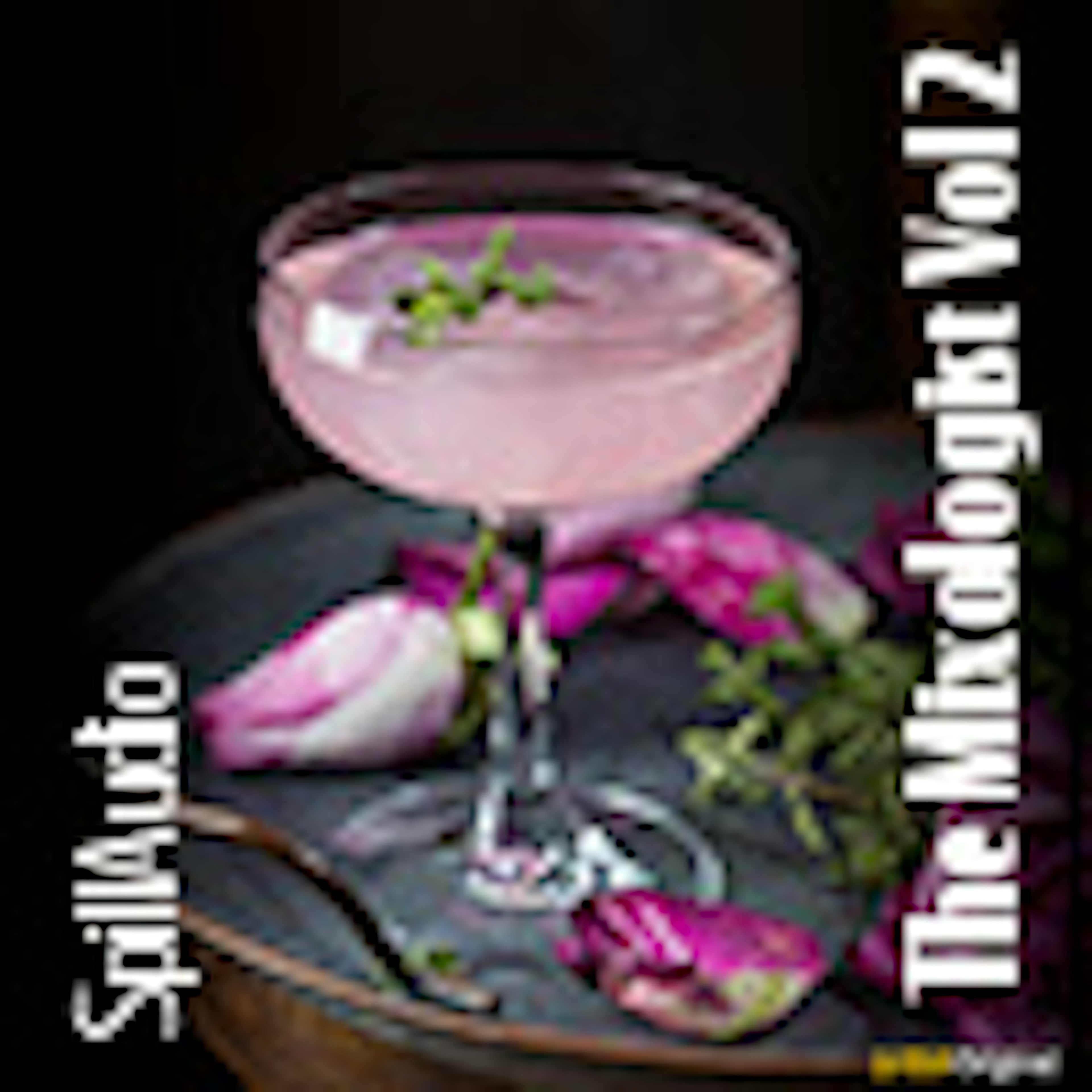 The Mixologist Vol 2 album cover