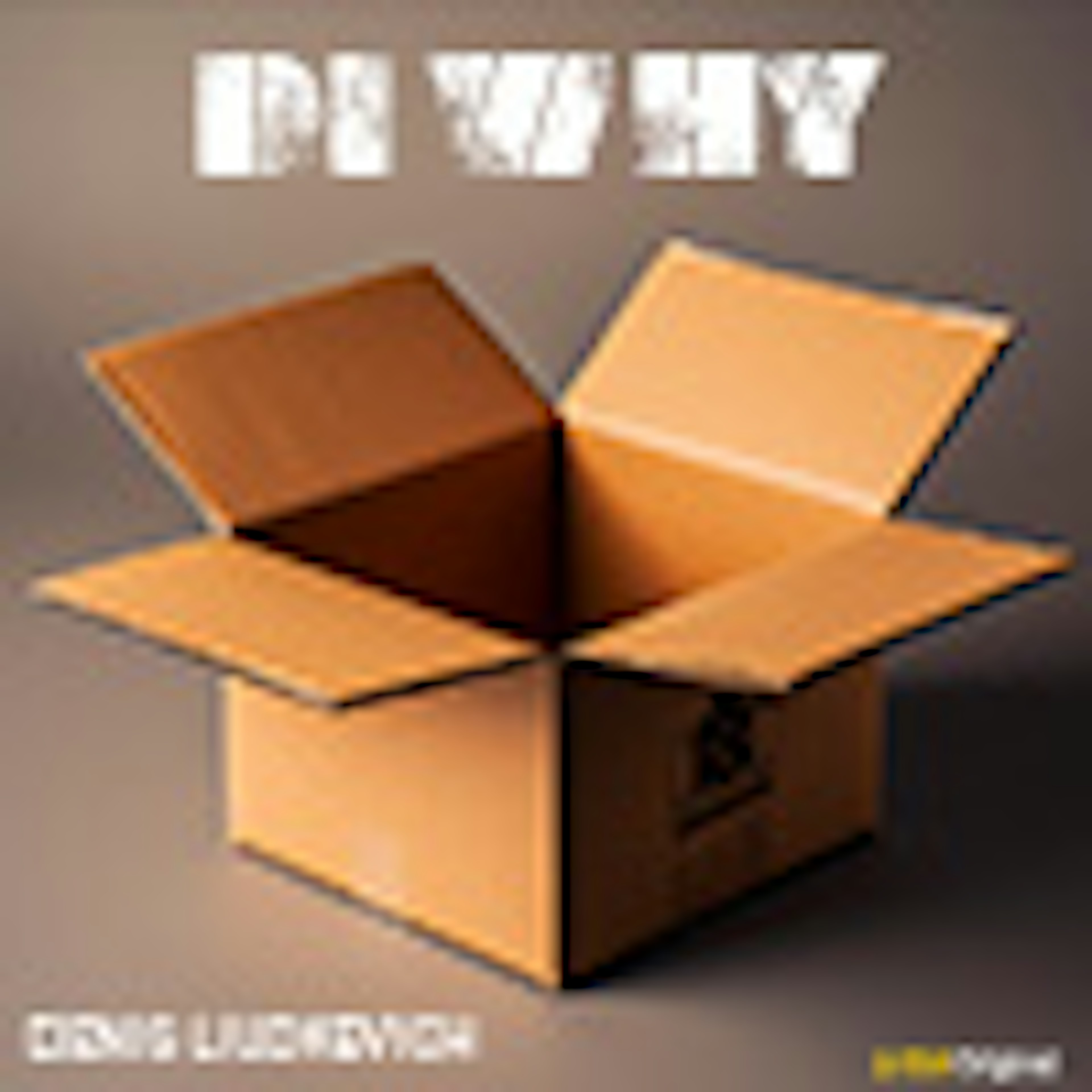 DI Why album cover