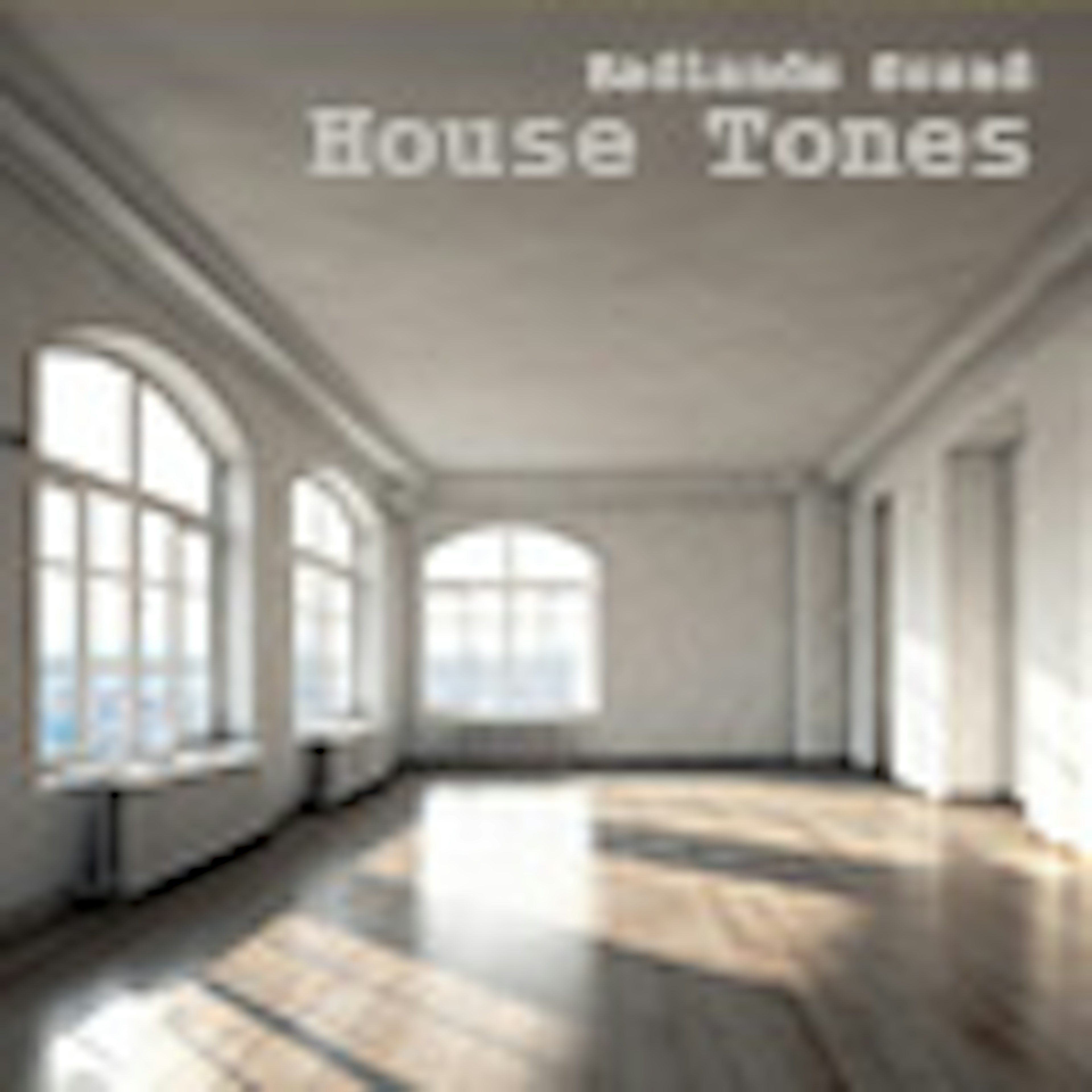 House Tones album cover