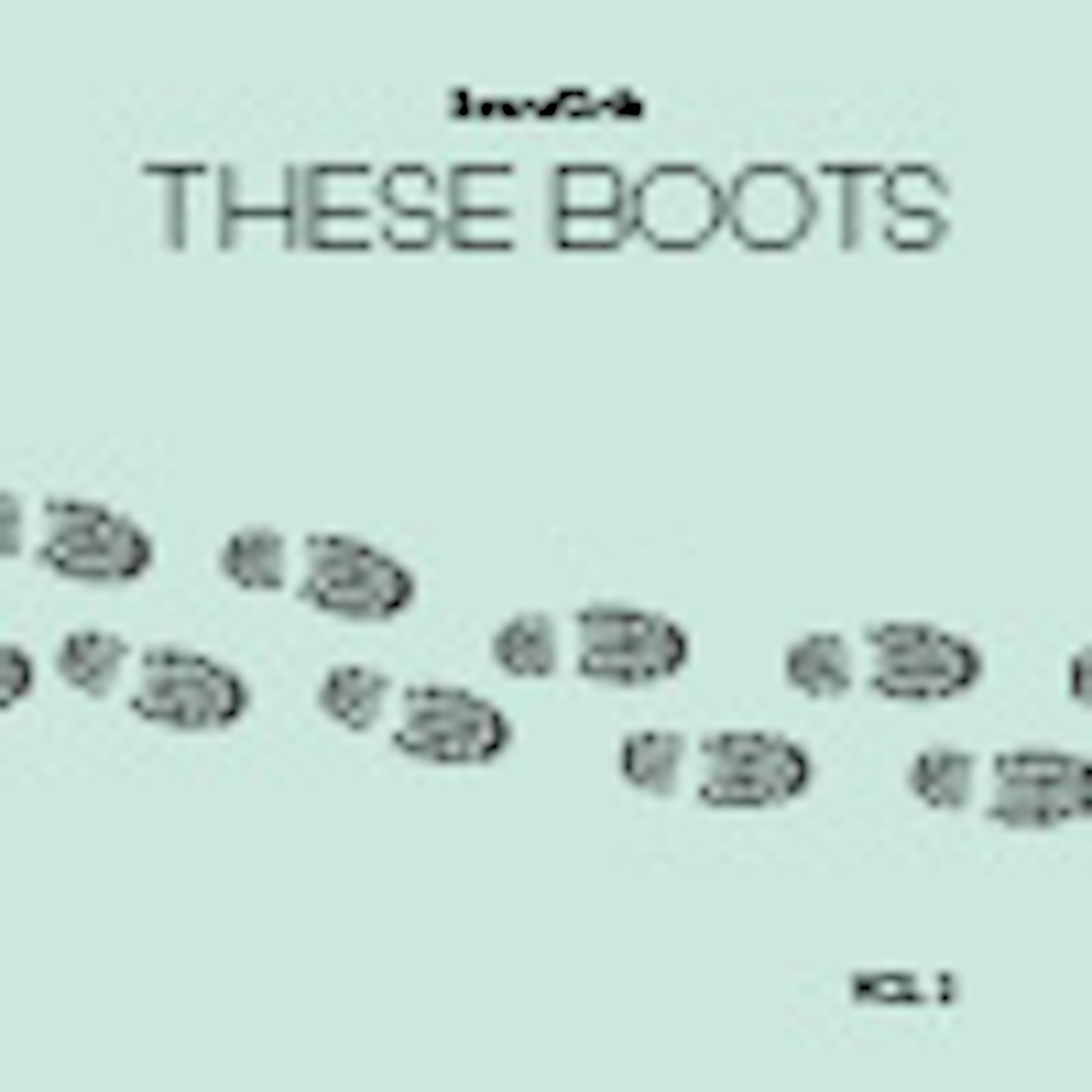 These Boots Vol 2 album cover