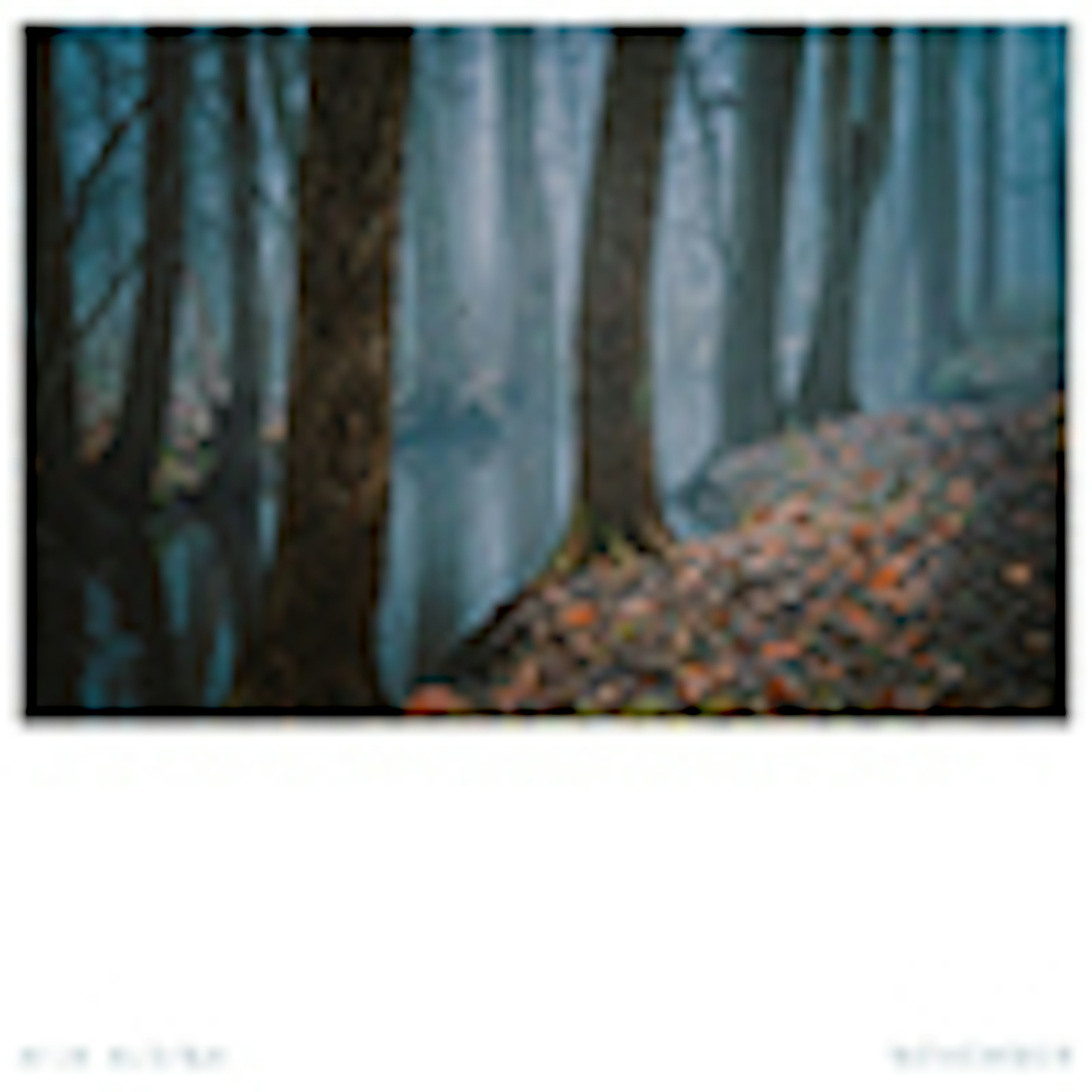 November album cover