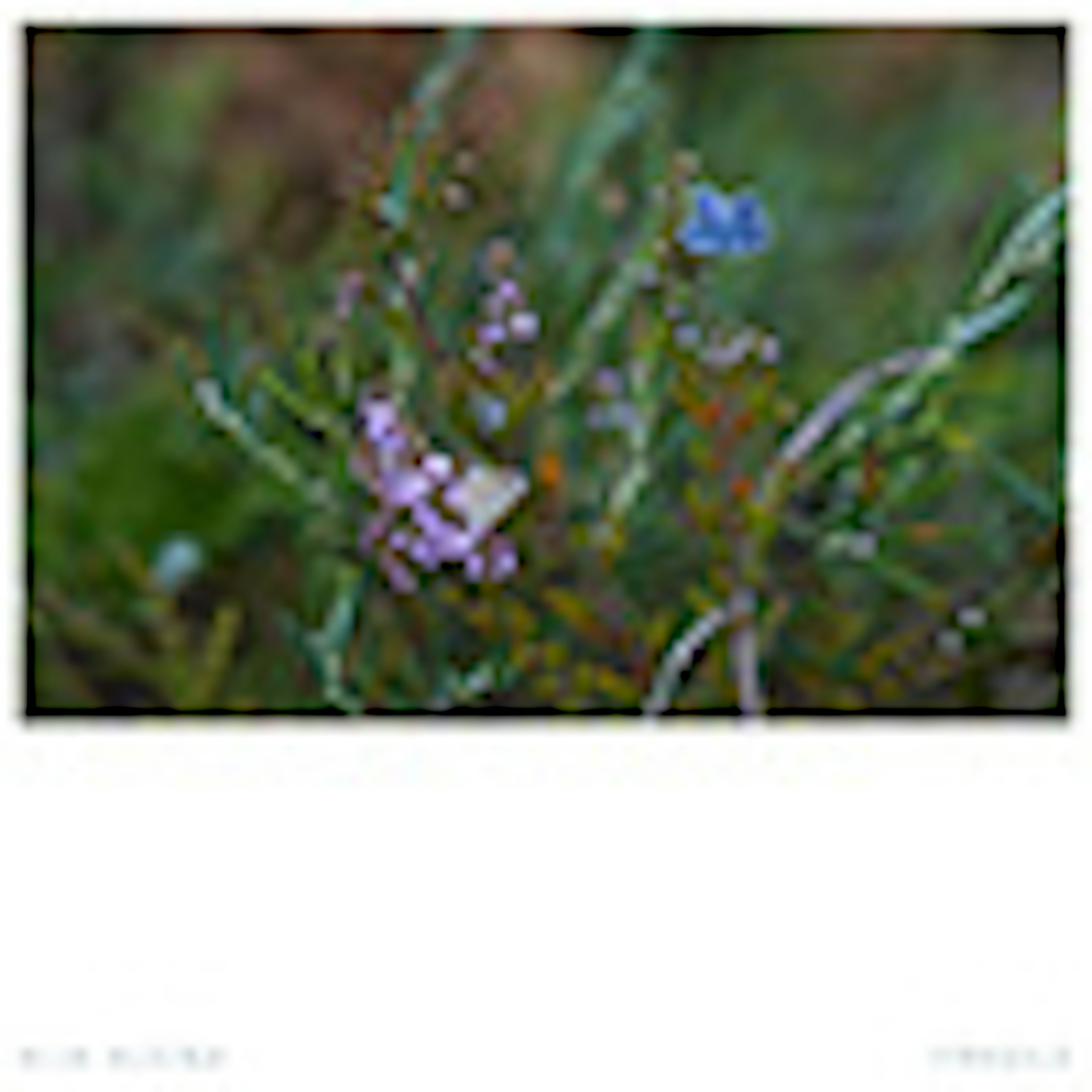 Fragile album cover
