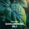 Leaves & Branches Vol 2 album cover Leaves & Branches Vol 2 album cover