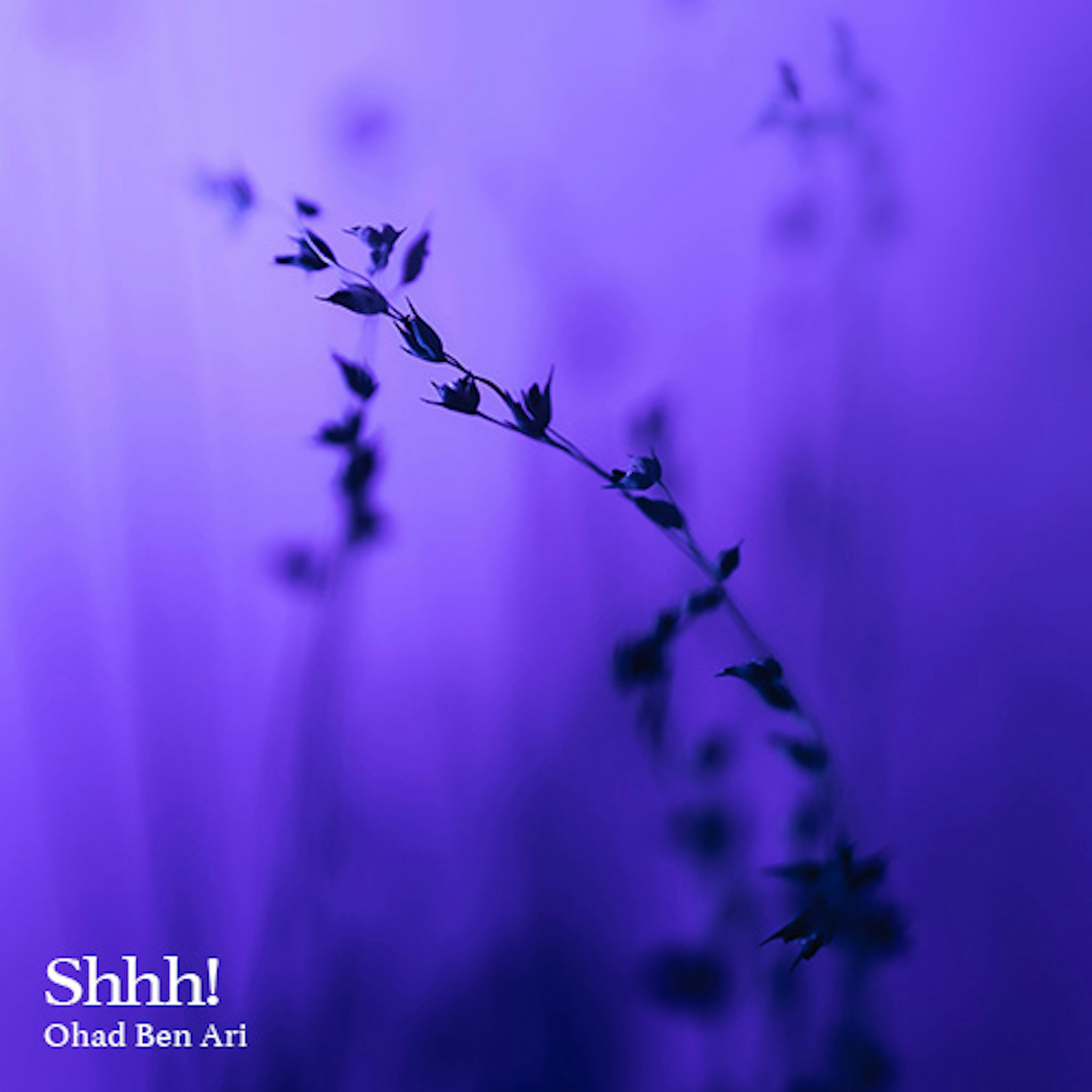 banner-highlight
