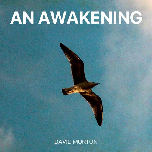 An Awakening