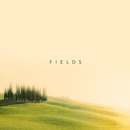 Fields