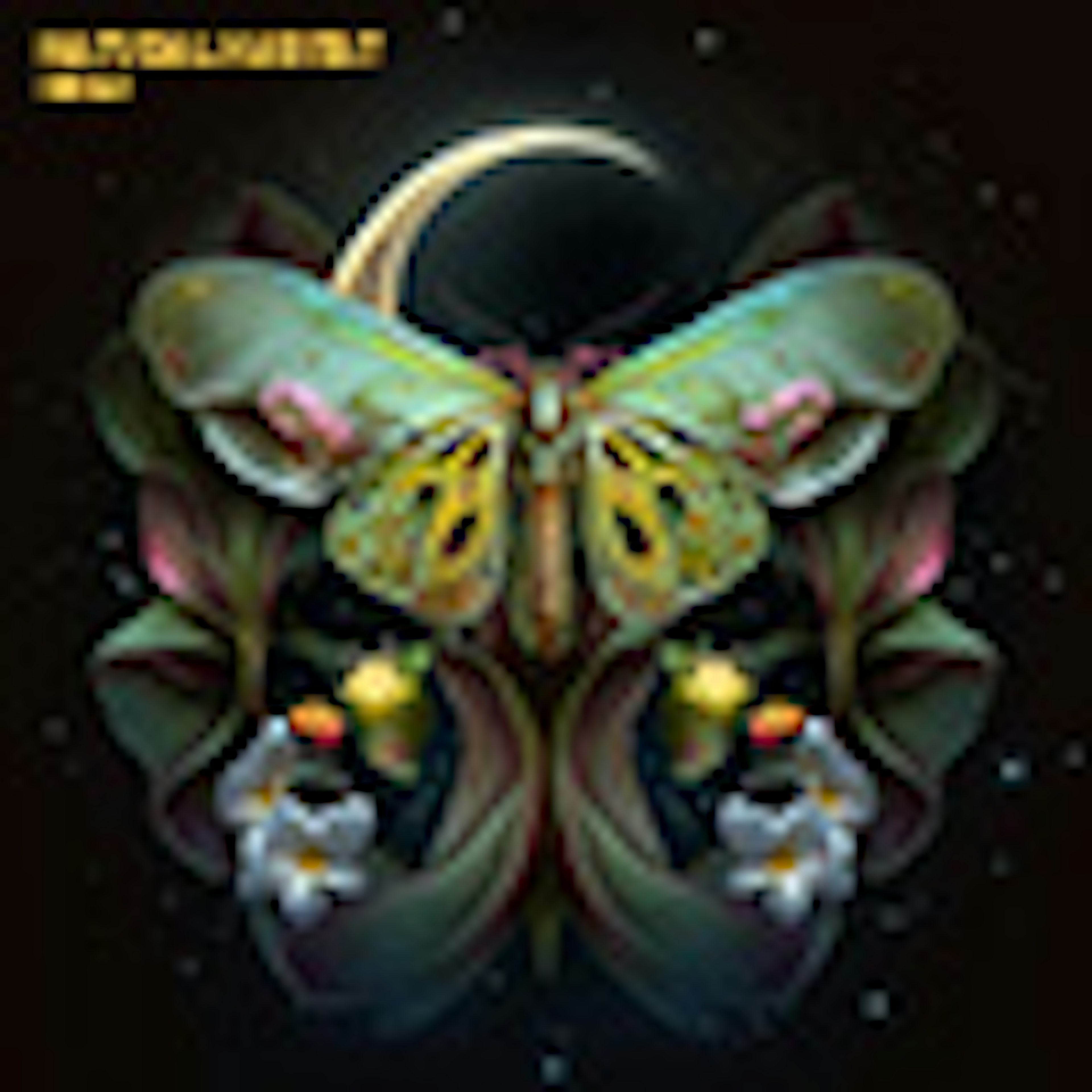 Natural Habitat album cover