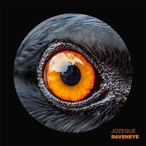 Raveneye