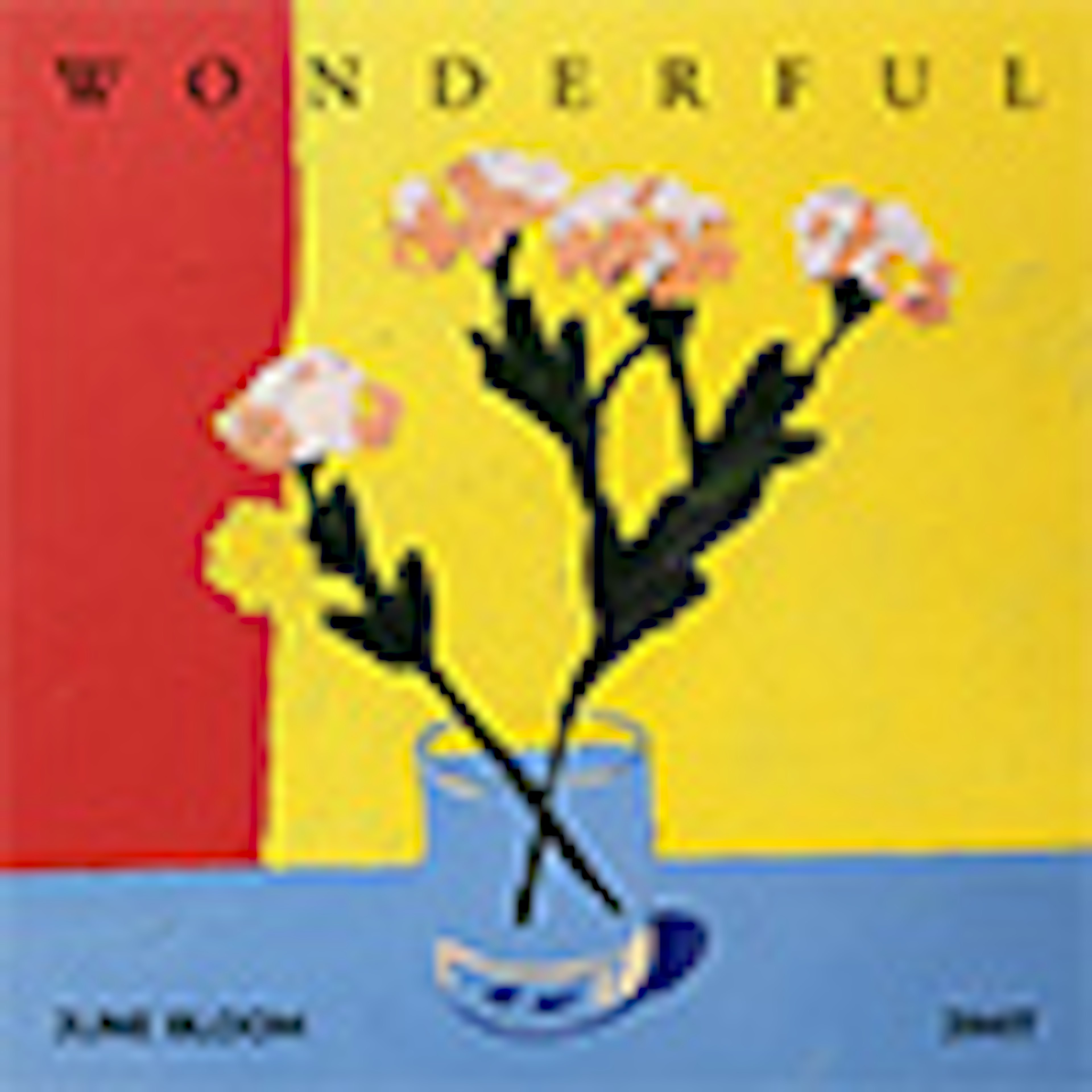 Wonderful album cover