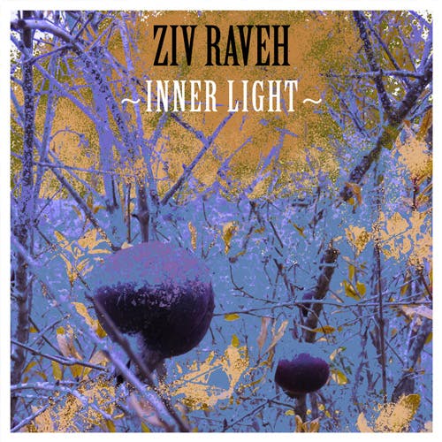 Inner Light