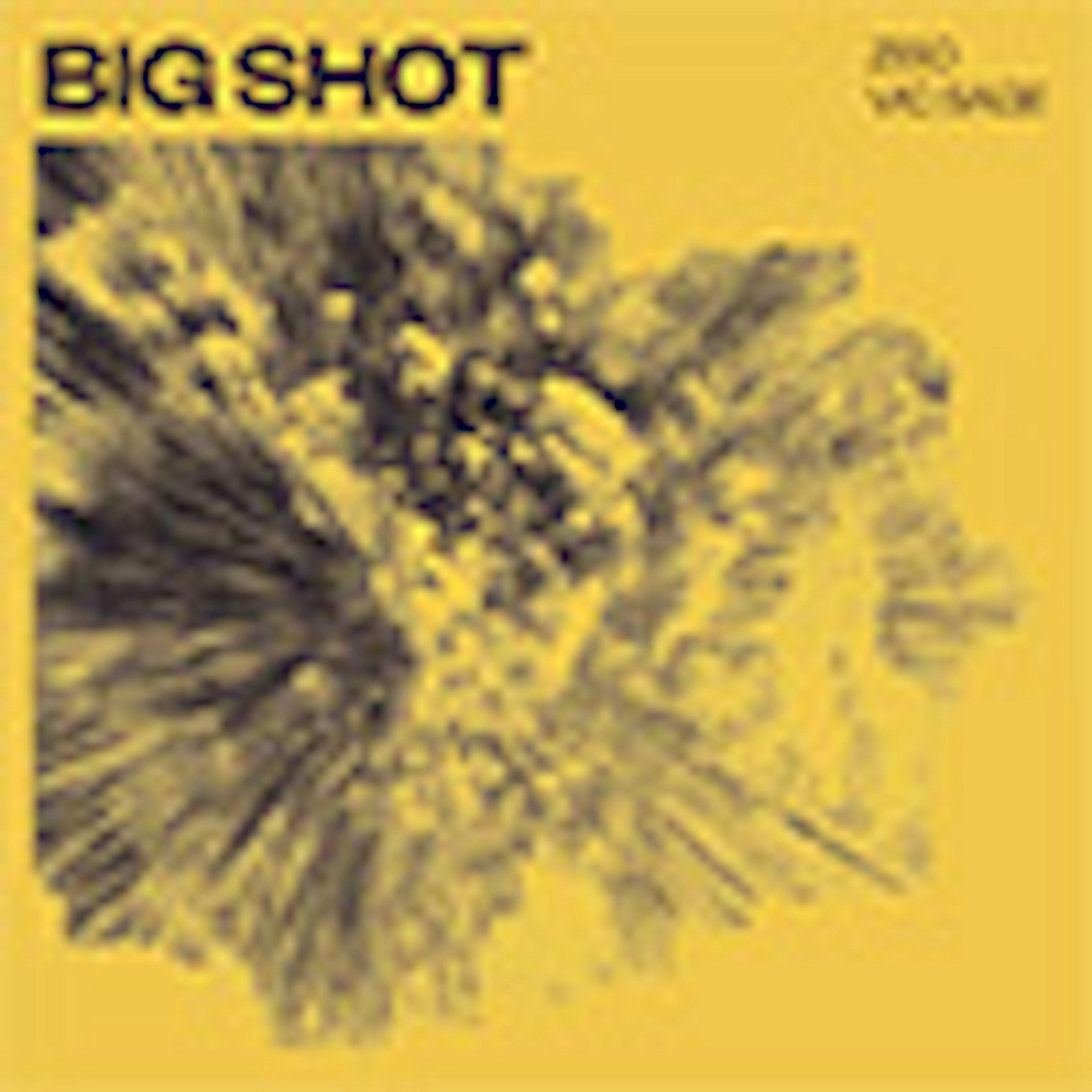 Big Shot album cover