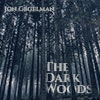 The Dark Woods album cover The Dark Woods album cover