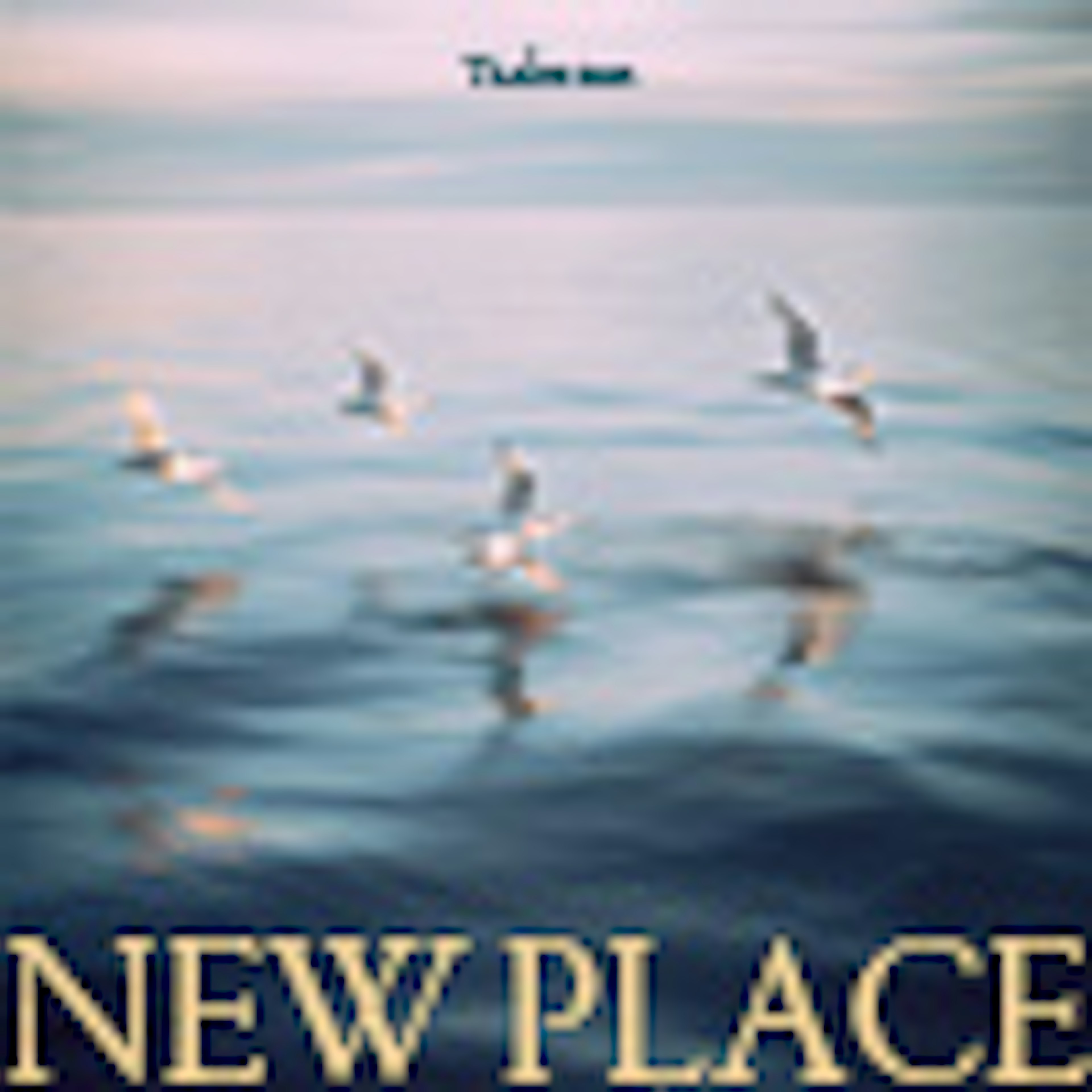New Place
