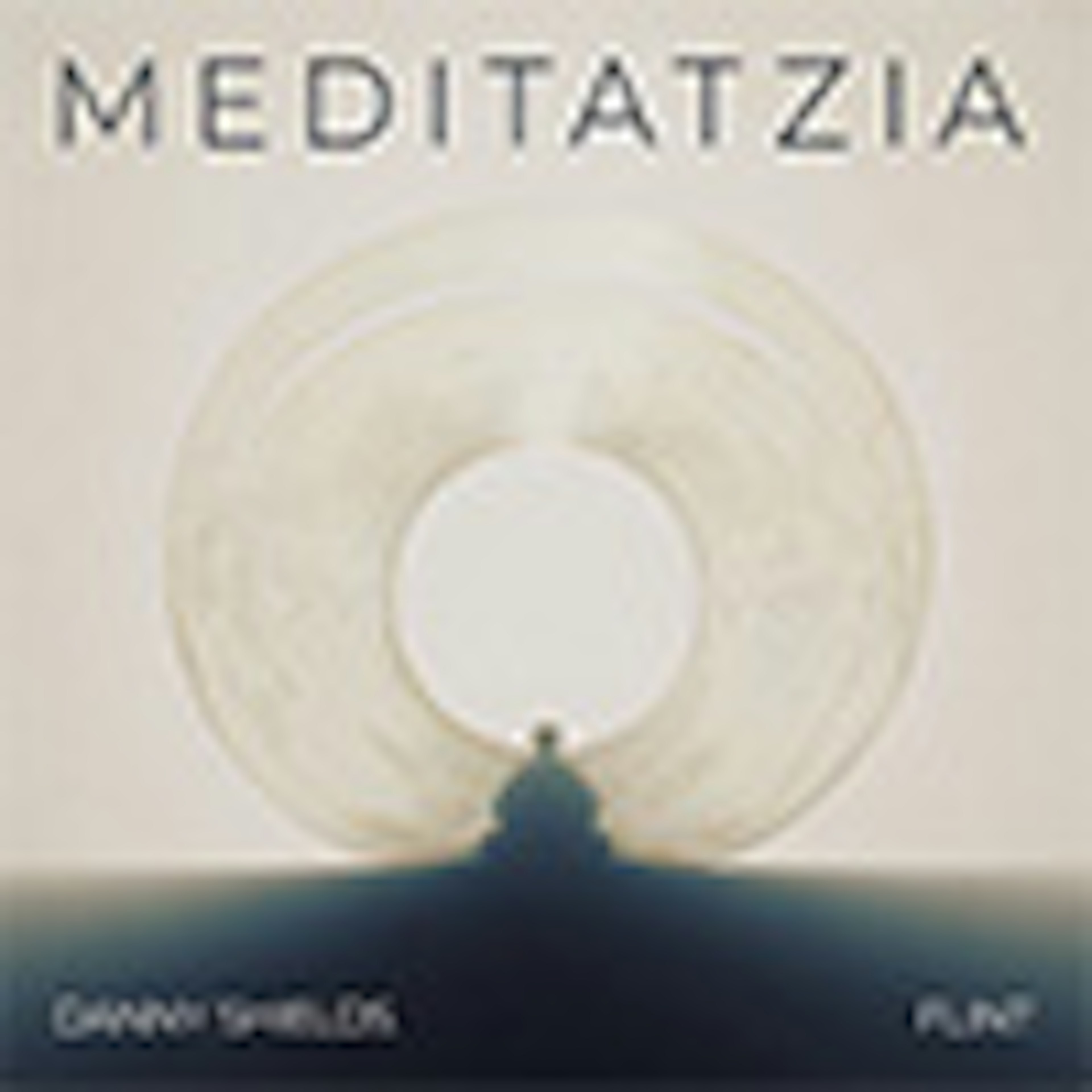 Meditatzia album cover