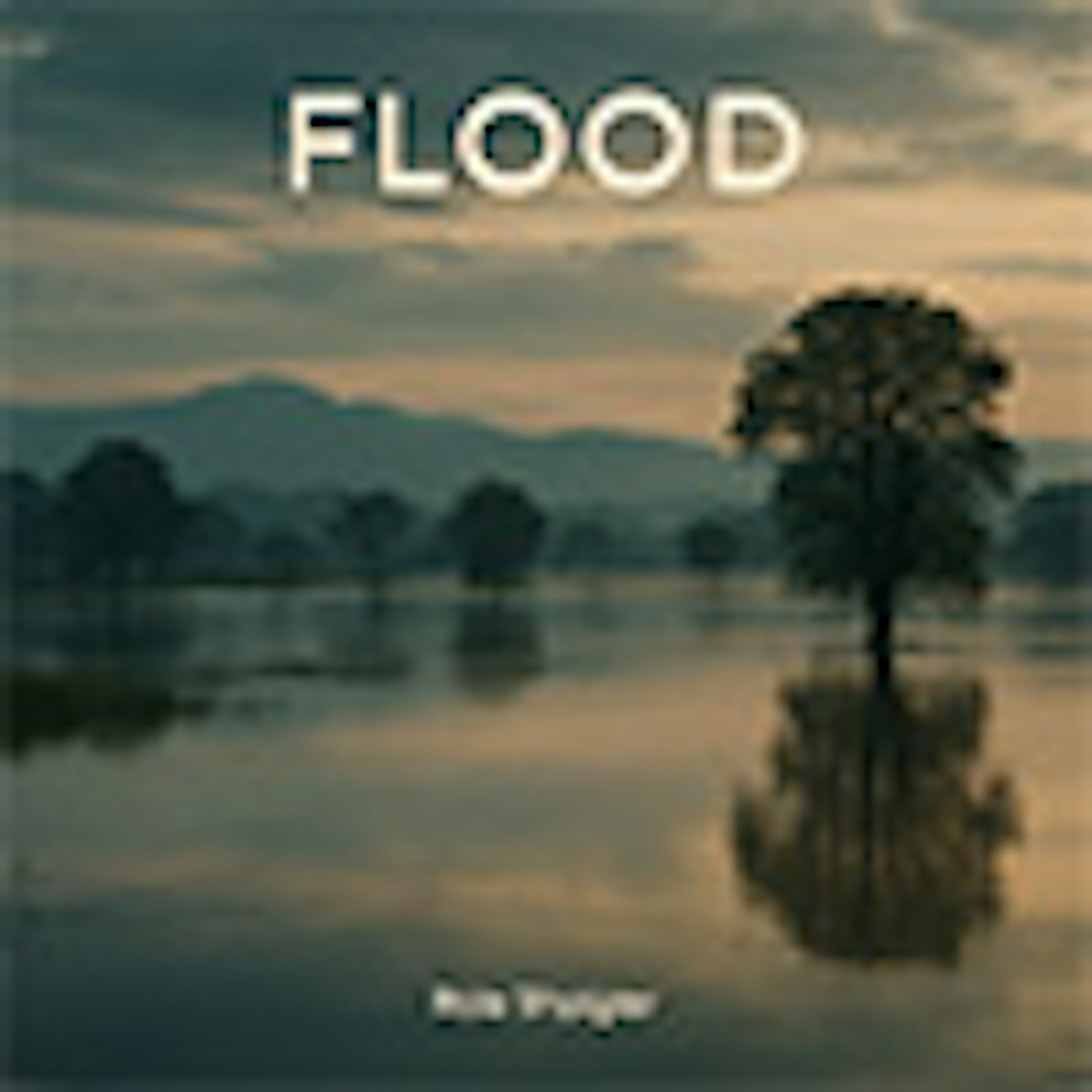 Flood album cover