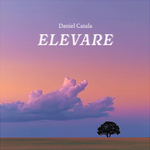 Elevare