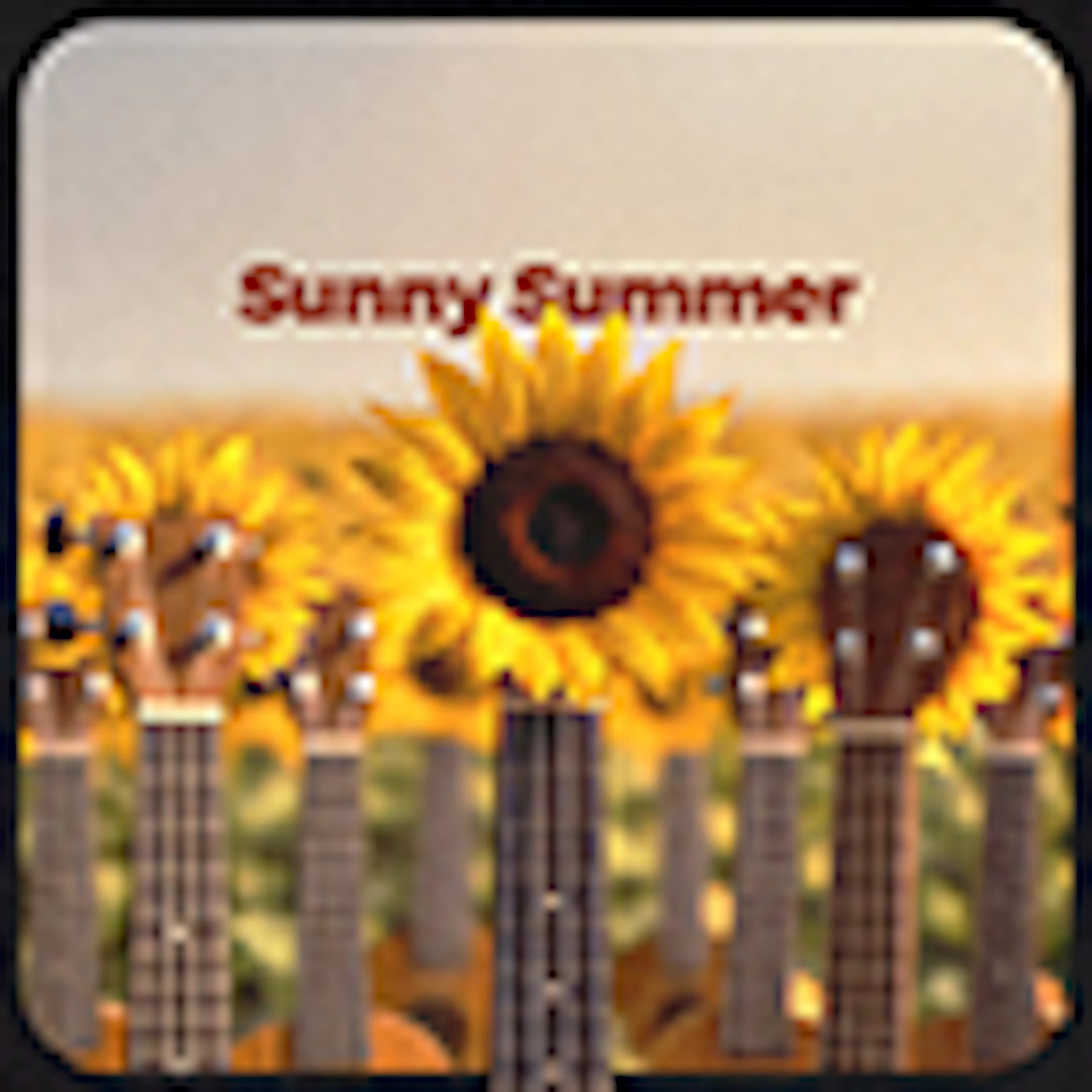 Sunny Summer album cover